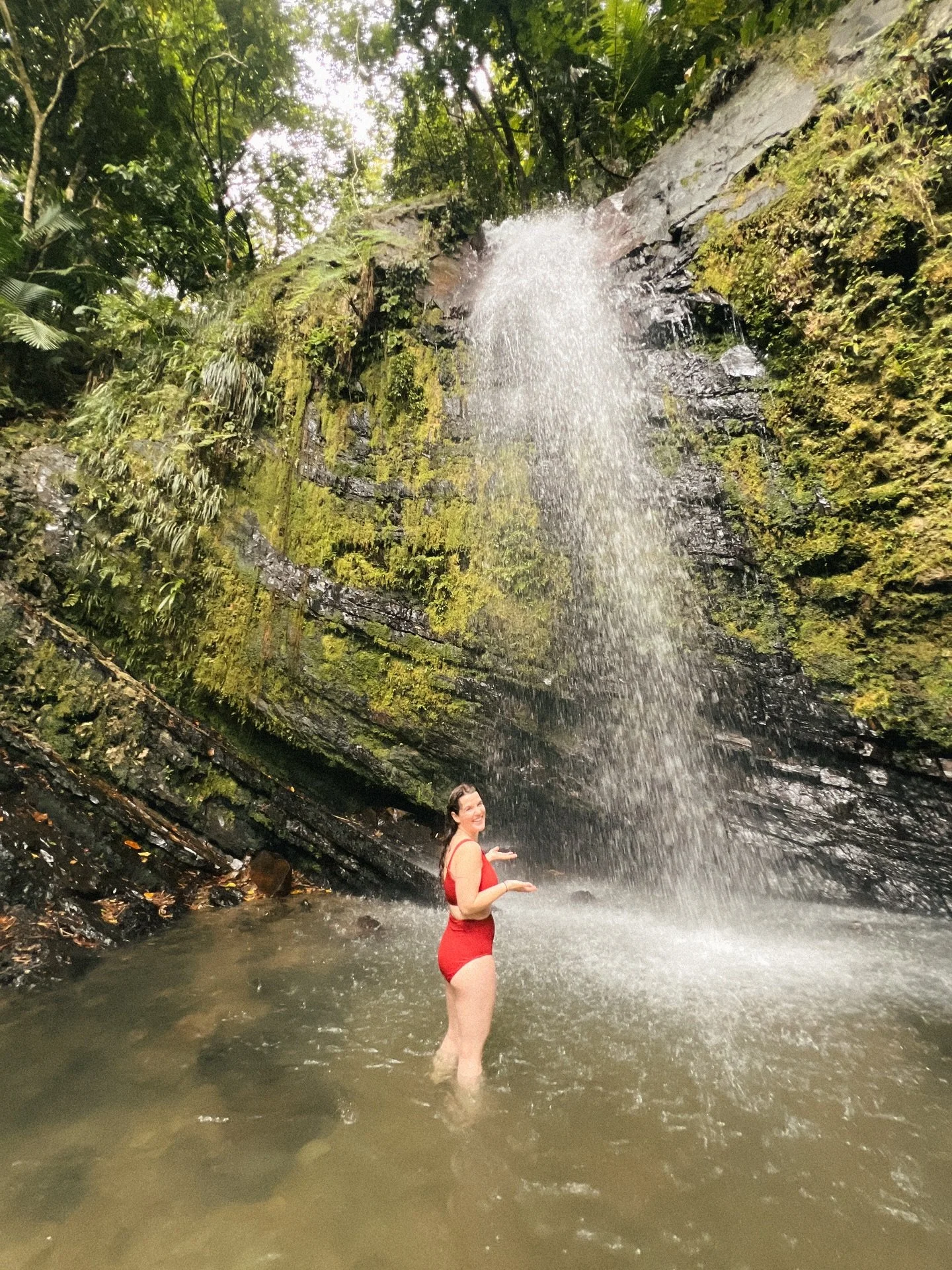 Day two&hellip; exploring the El Yunque Rainforest! 🌴💧 #elyunquerainforest #puertorico