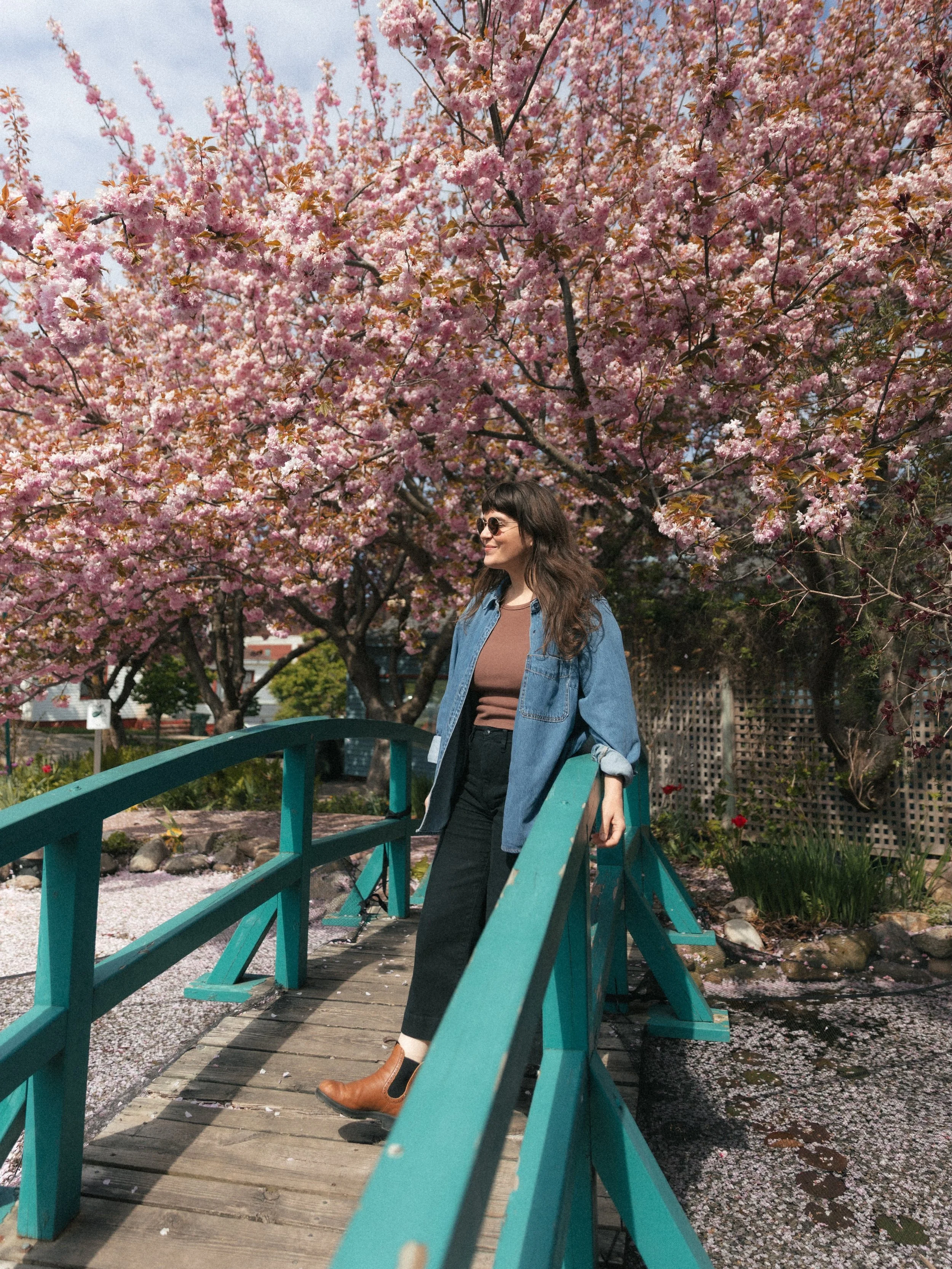I just love this tree in spring! 🌸 #visitmuskegon #springishere