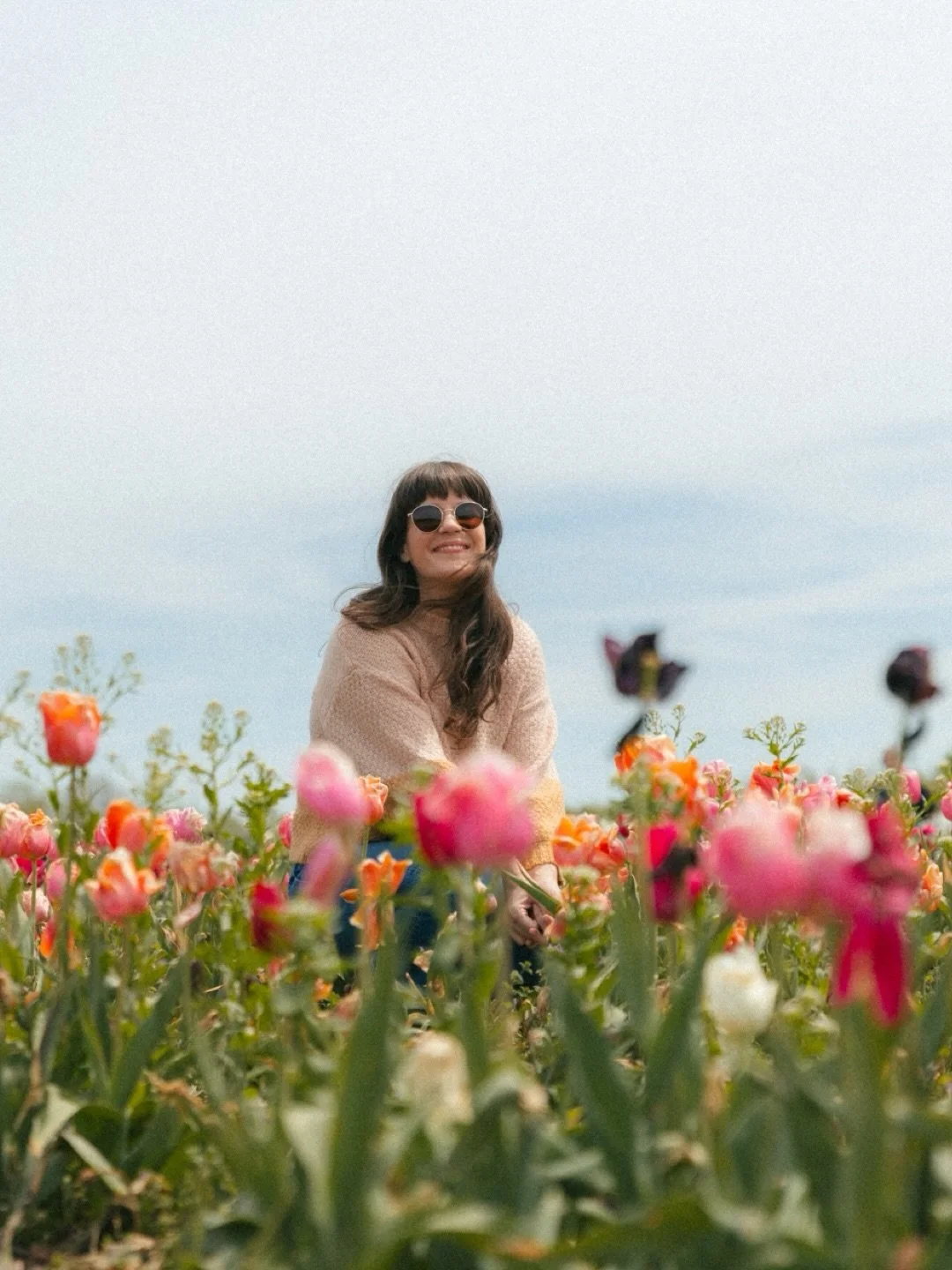 Tulips at Windmill Island Gardens and my annual excuse to romanticize spring in West Michigan. 🌷