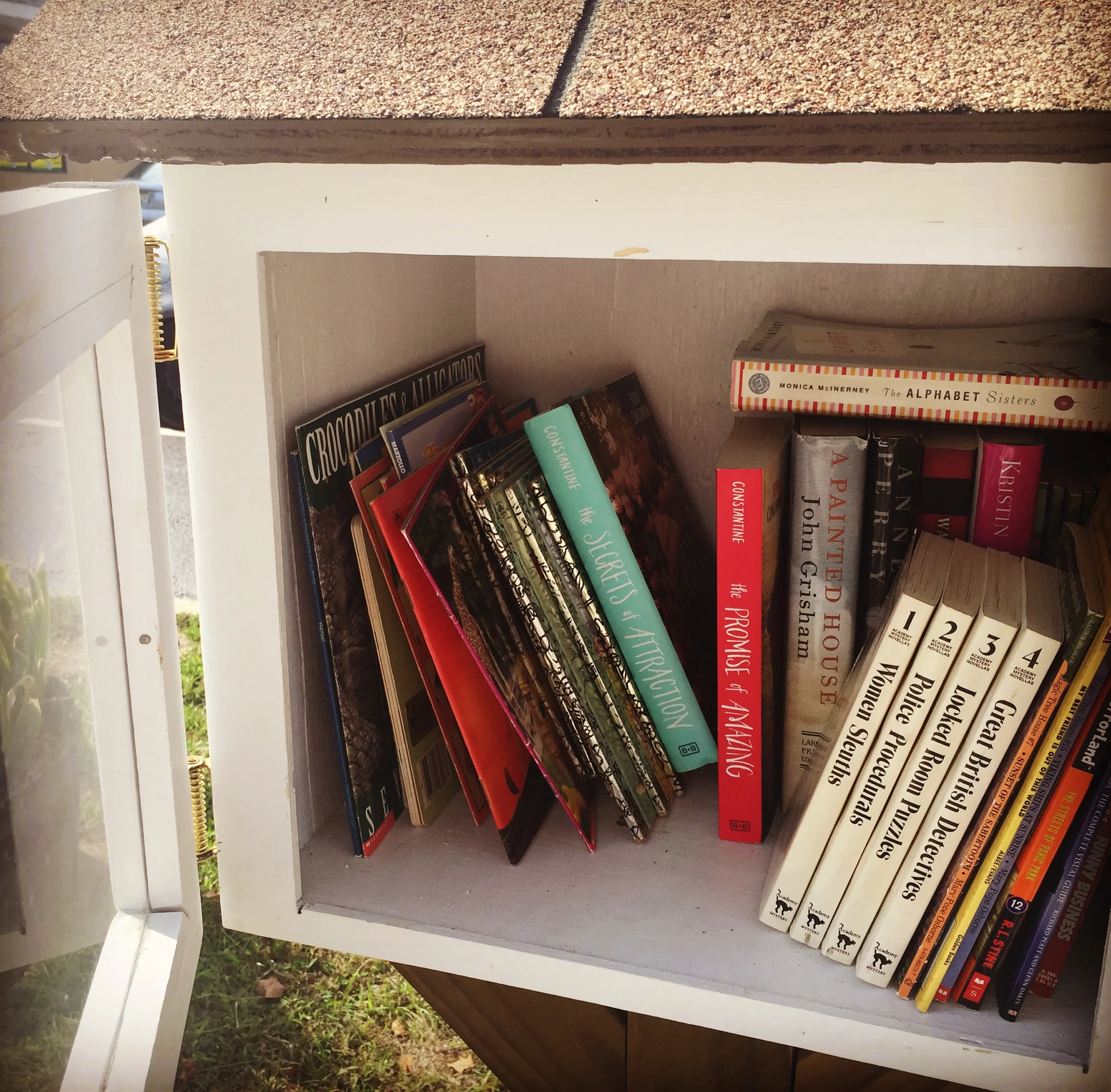 #littlelibrary in Red Bank!
