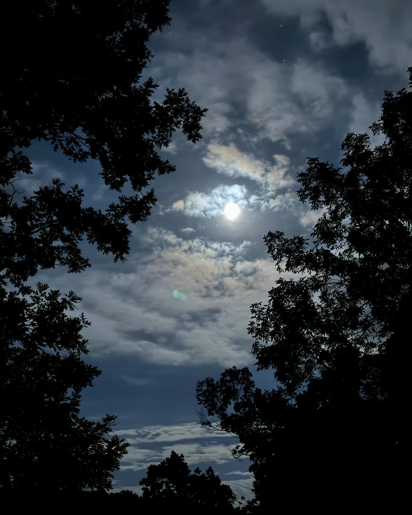 Finally saw some sunshine and clear skies! And a beautiful waxing gibbous. 🌔Such a great goodbye-until-next-time last day of our annual writing retreat.  #writinglife❤️ #writingretreat  #writersofinstagram  #yawriters #ncwriters