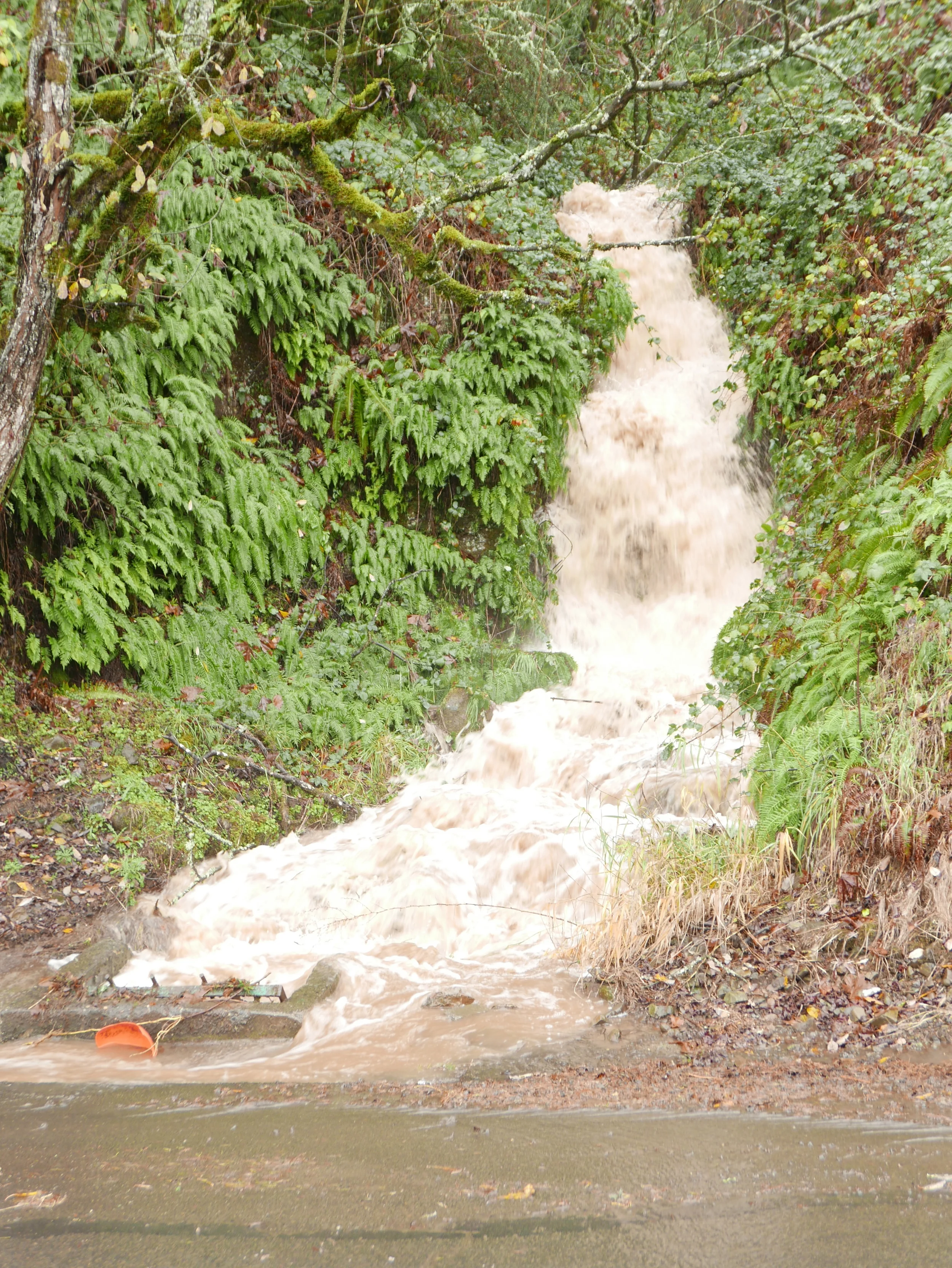 12/7/2015, after over 3 inches of rain.