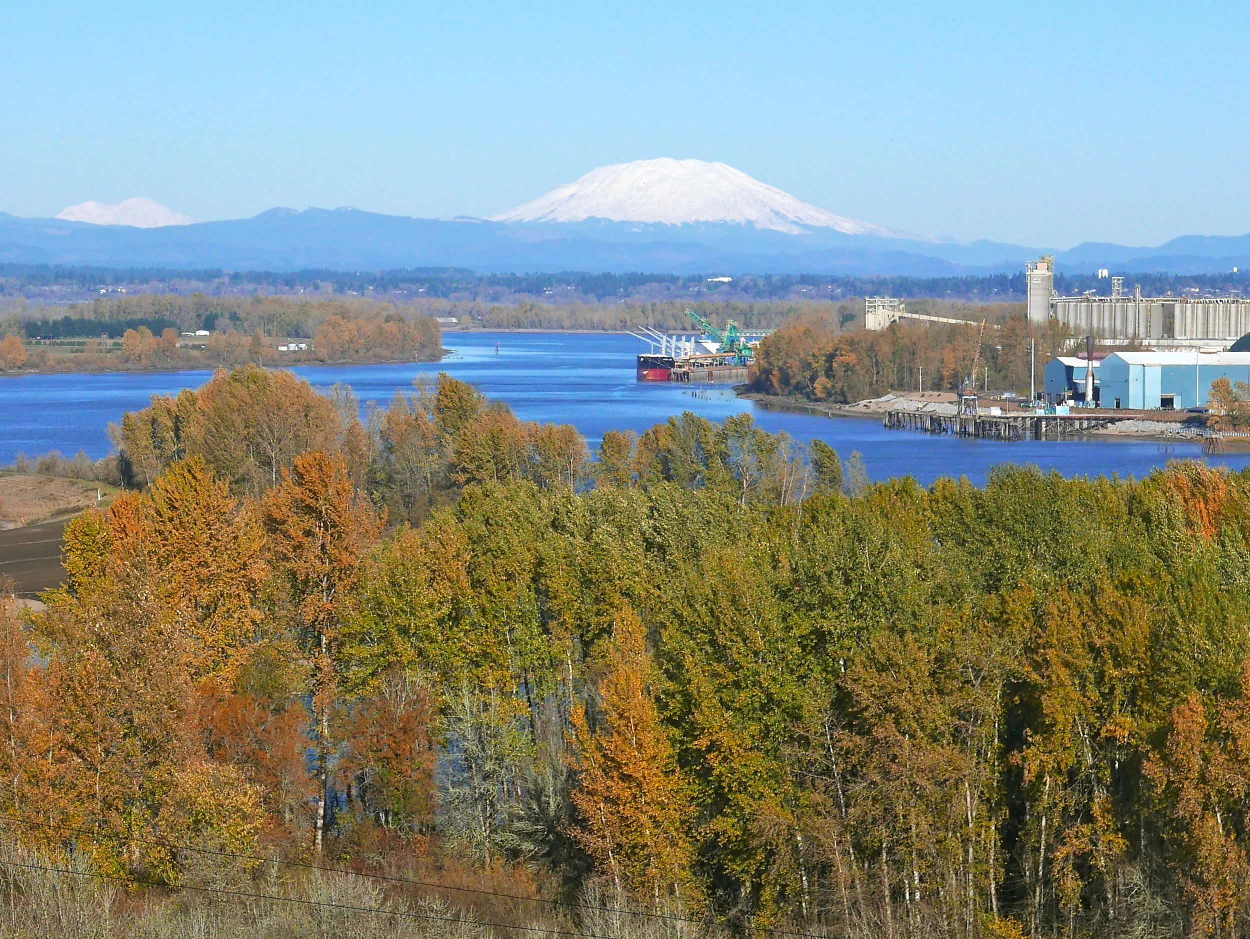 View from the Frogs Forest Home