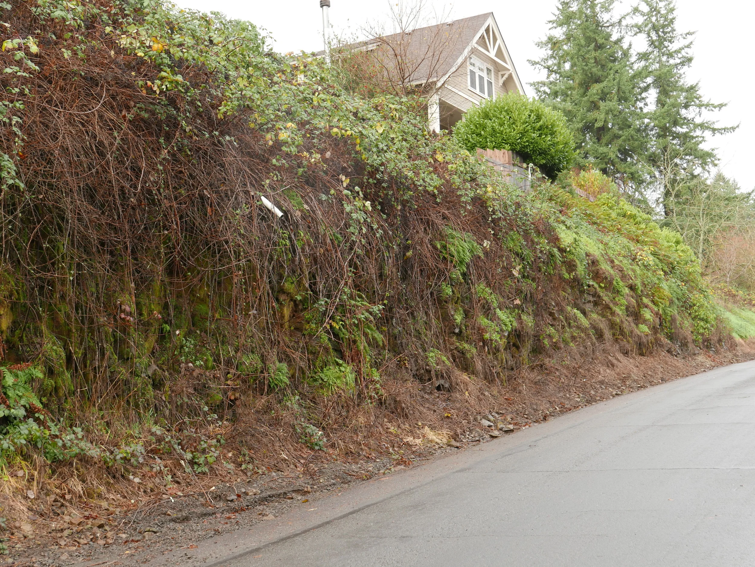 North Cliff, Harborton Drive