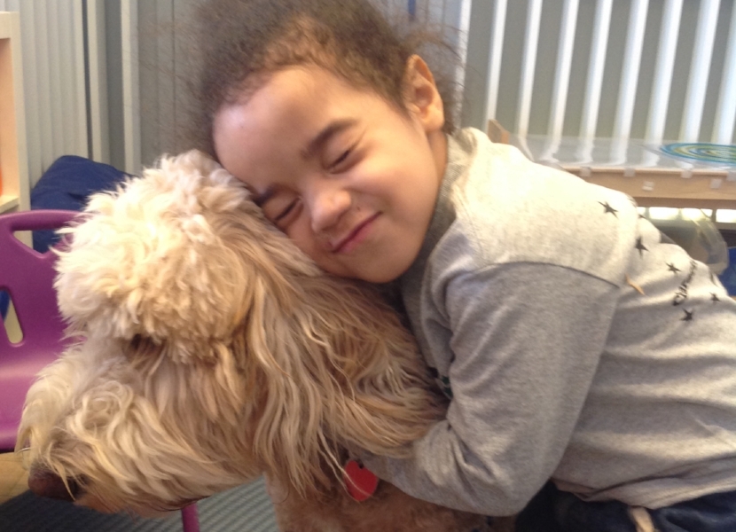 Animal Therapy Program