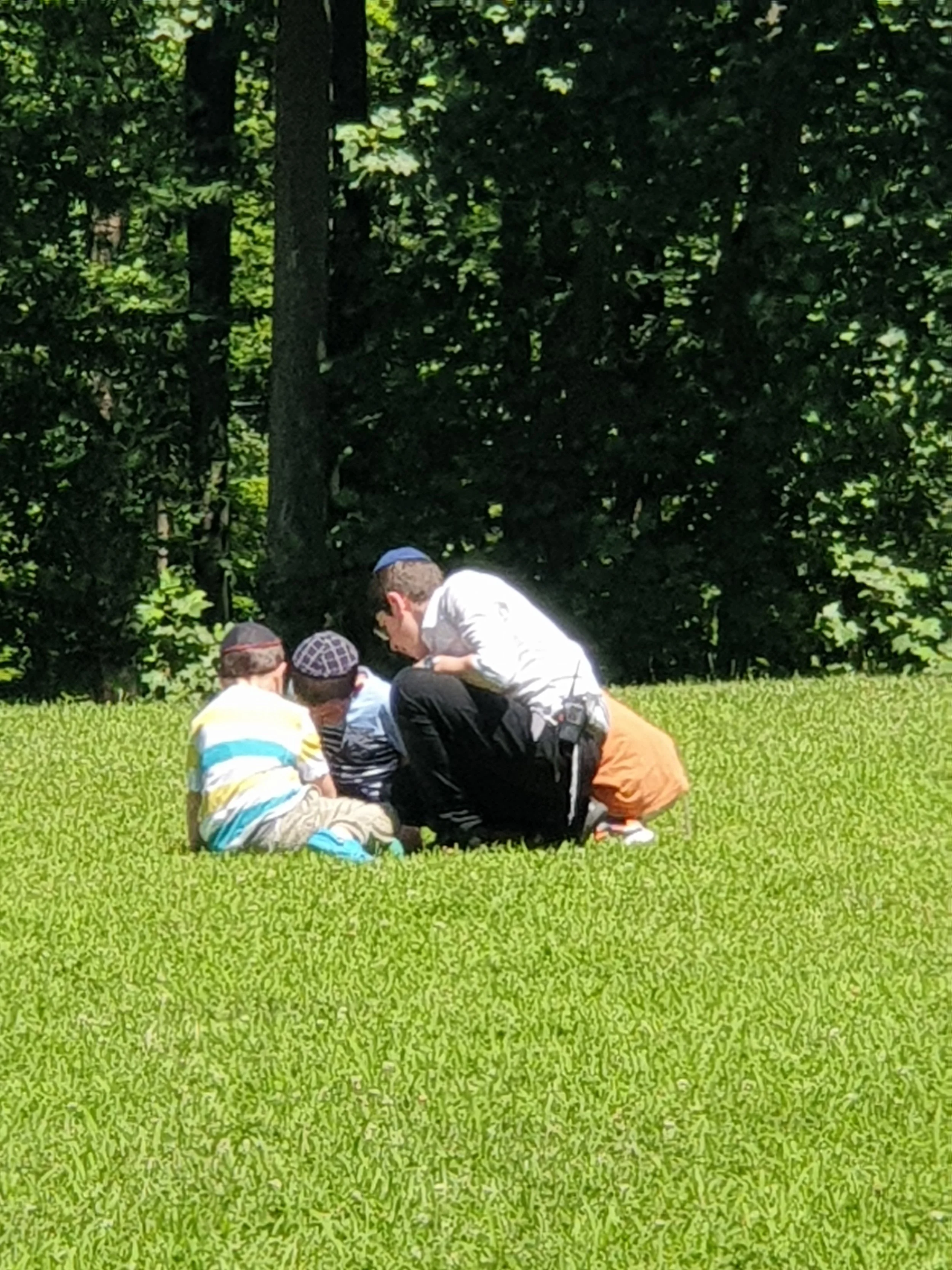 20190701_113529.jpg