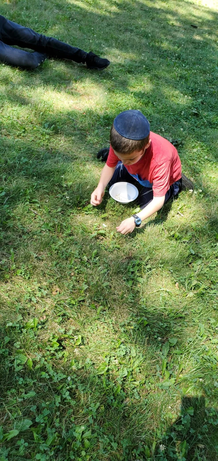IMG-20190716-WA0049.jpg