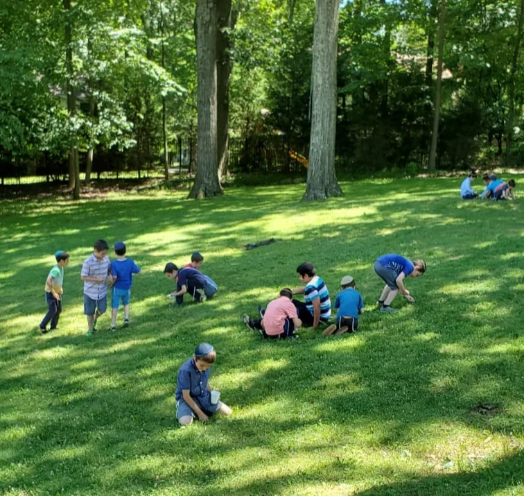 20190716_162936.jpg