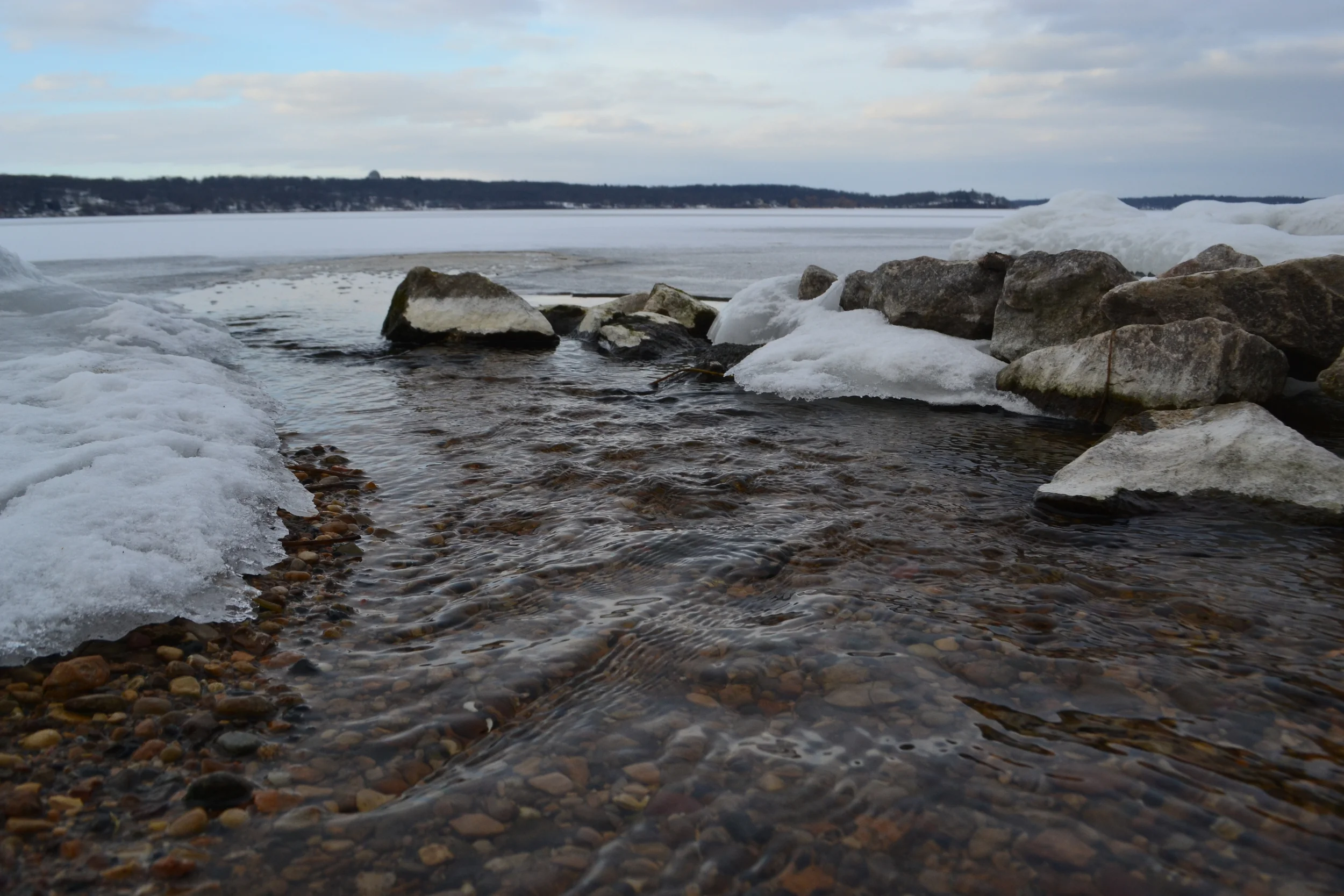 DSC_0484.JPG