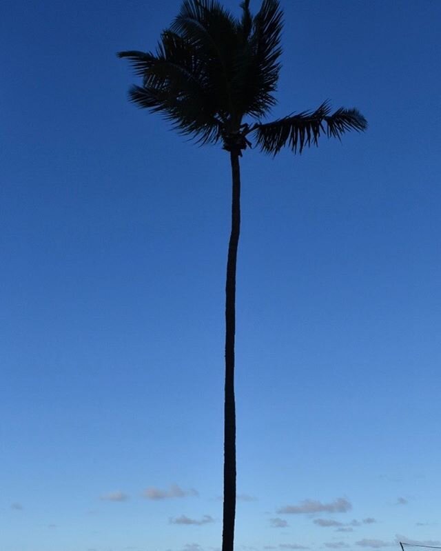 Naples, Florida / 12.28.2019
