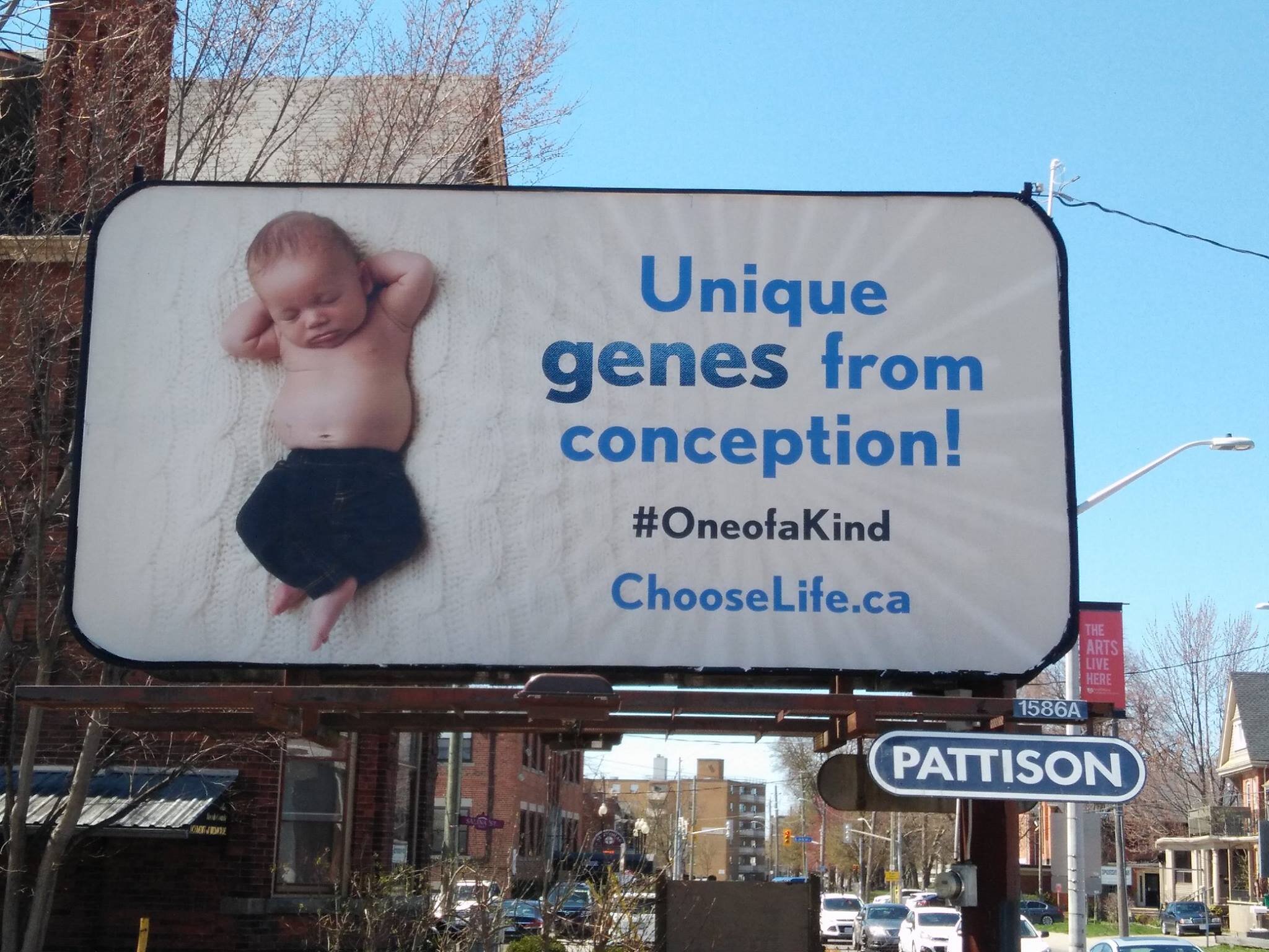 Unique Genes from Conception (1).jpg