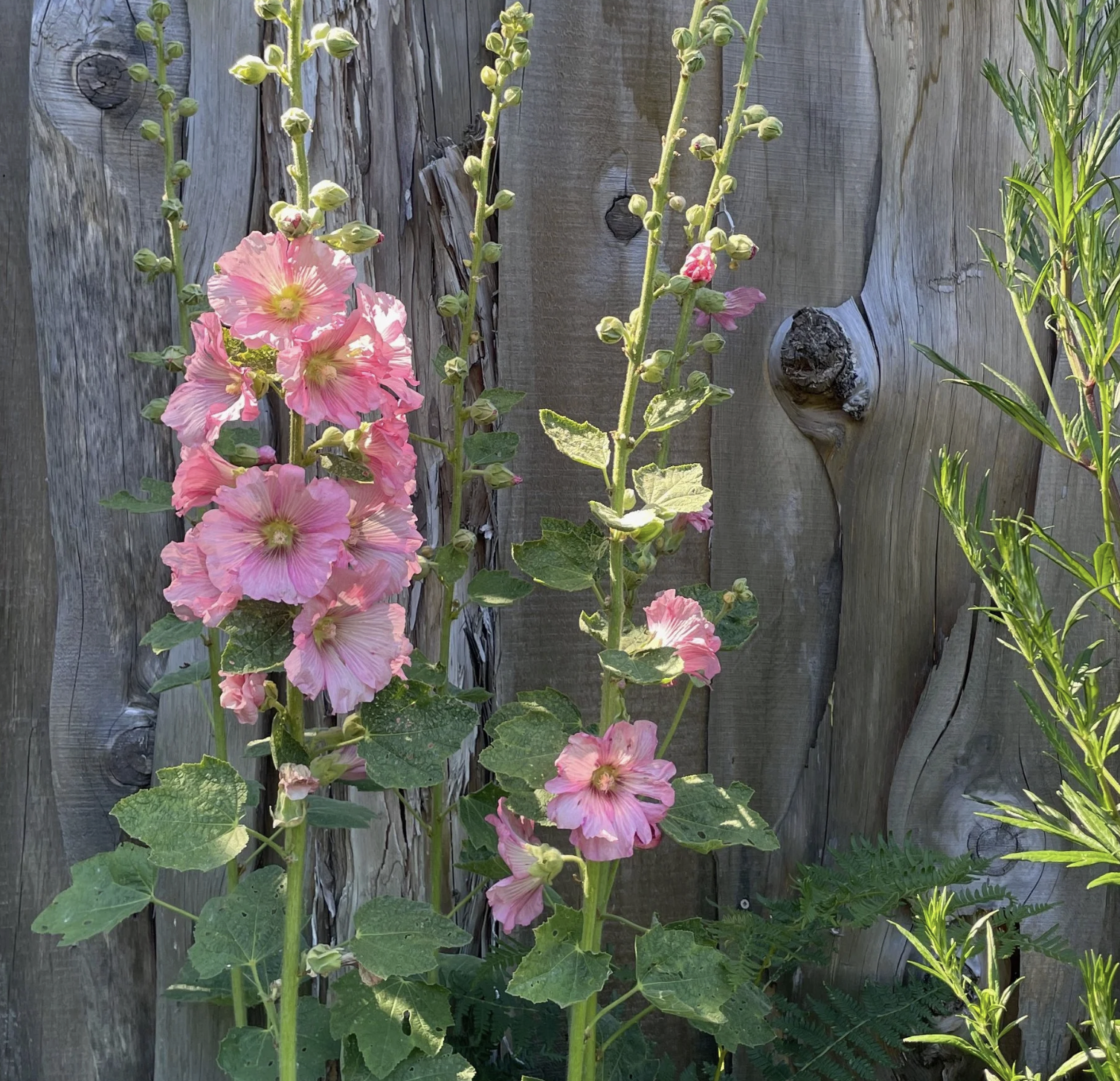 Screenshot 2025-12-30 at 2.35.36 PM.png