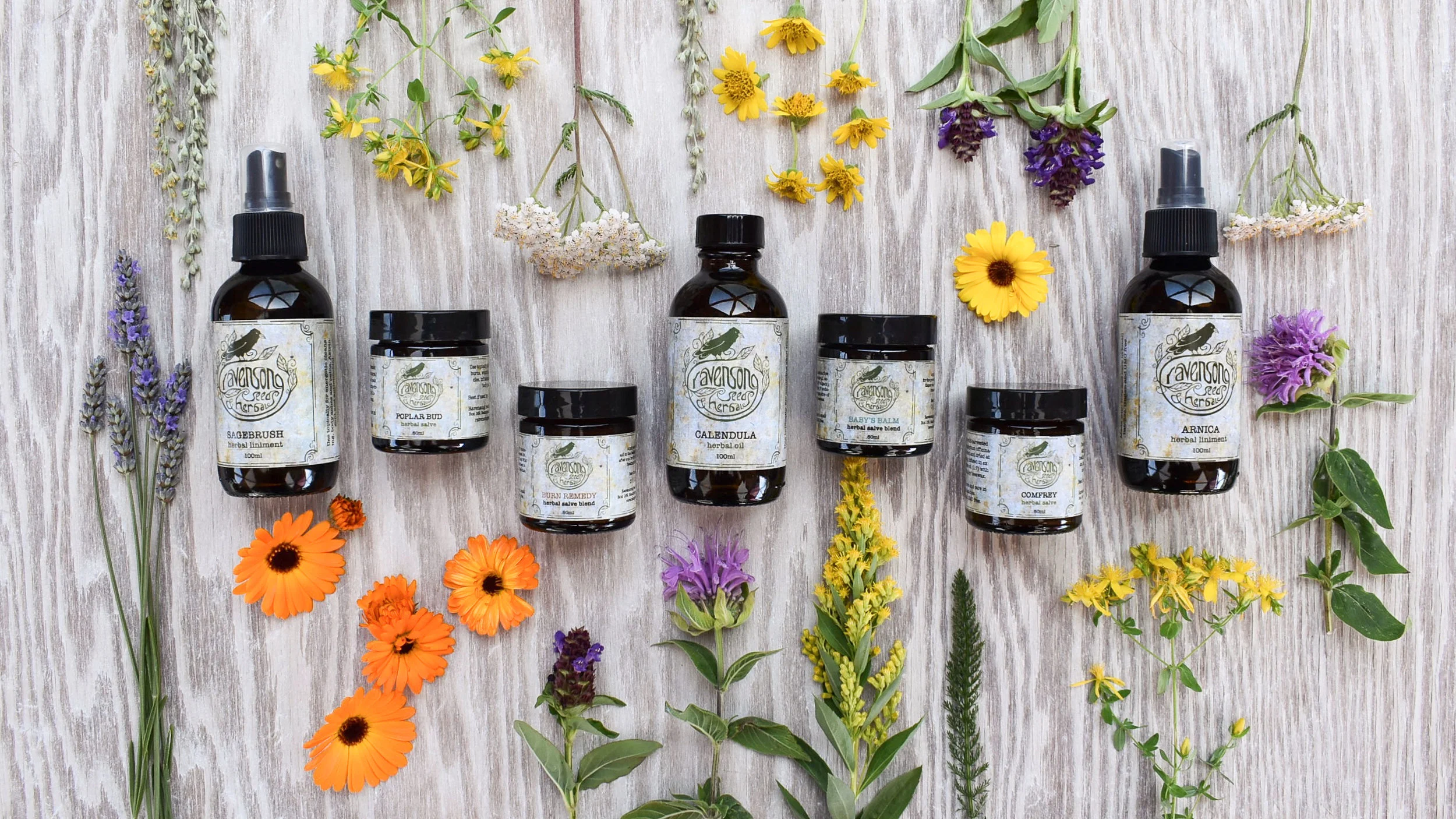 Poplar Bud Infused Oil — Ravensong Seeds & Herbals