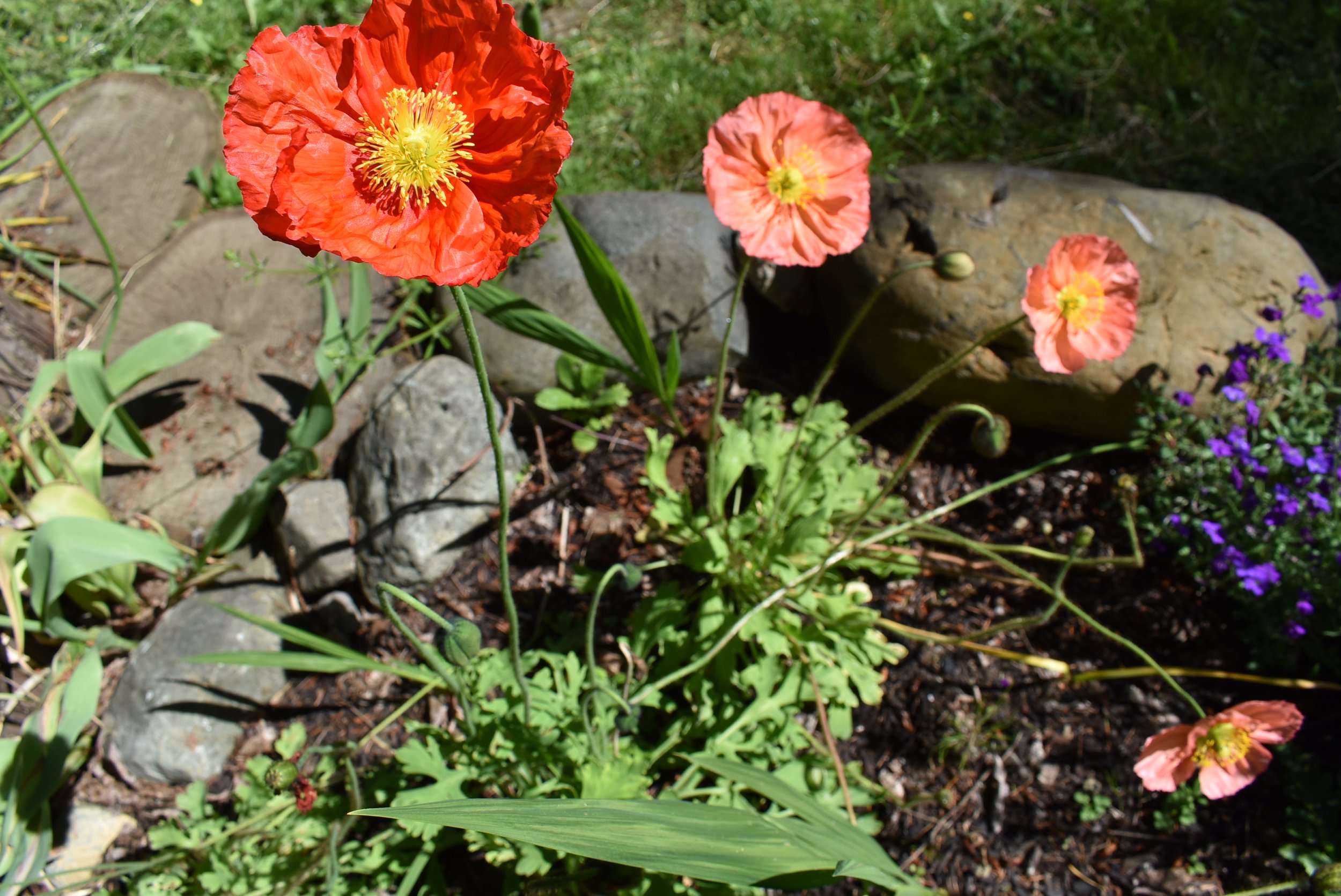 D4B766CD-D195-45BE-8156-0764FE643FDF.jpeg