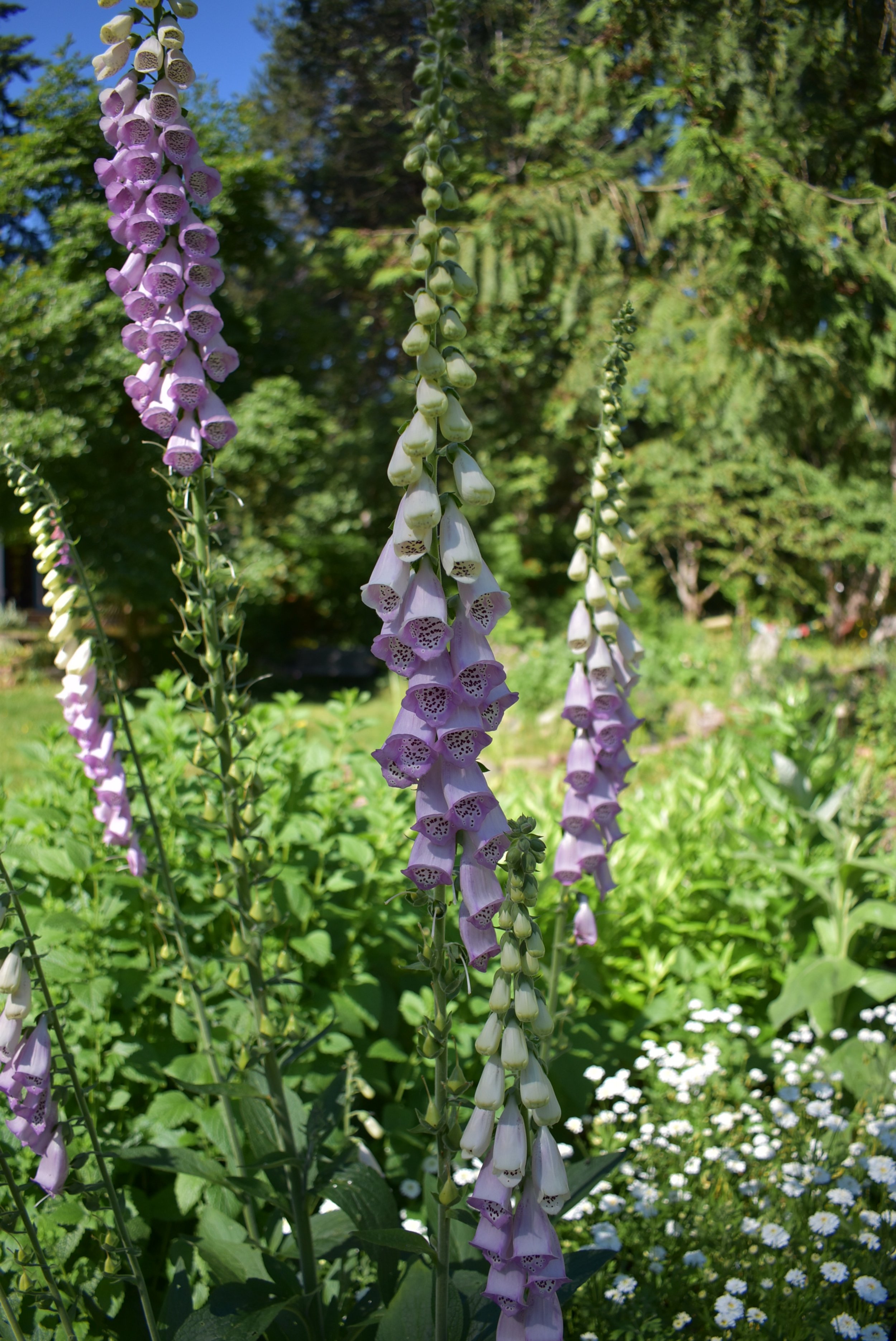 3C3012DF-673C-4462-BC21-A9DAEC1B48B5.jpeg