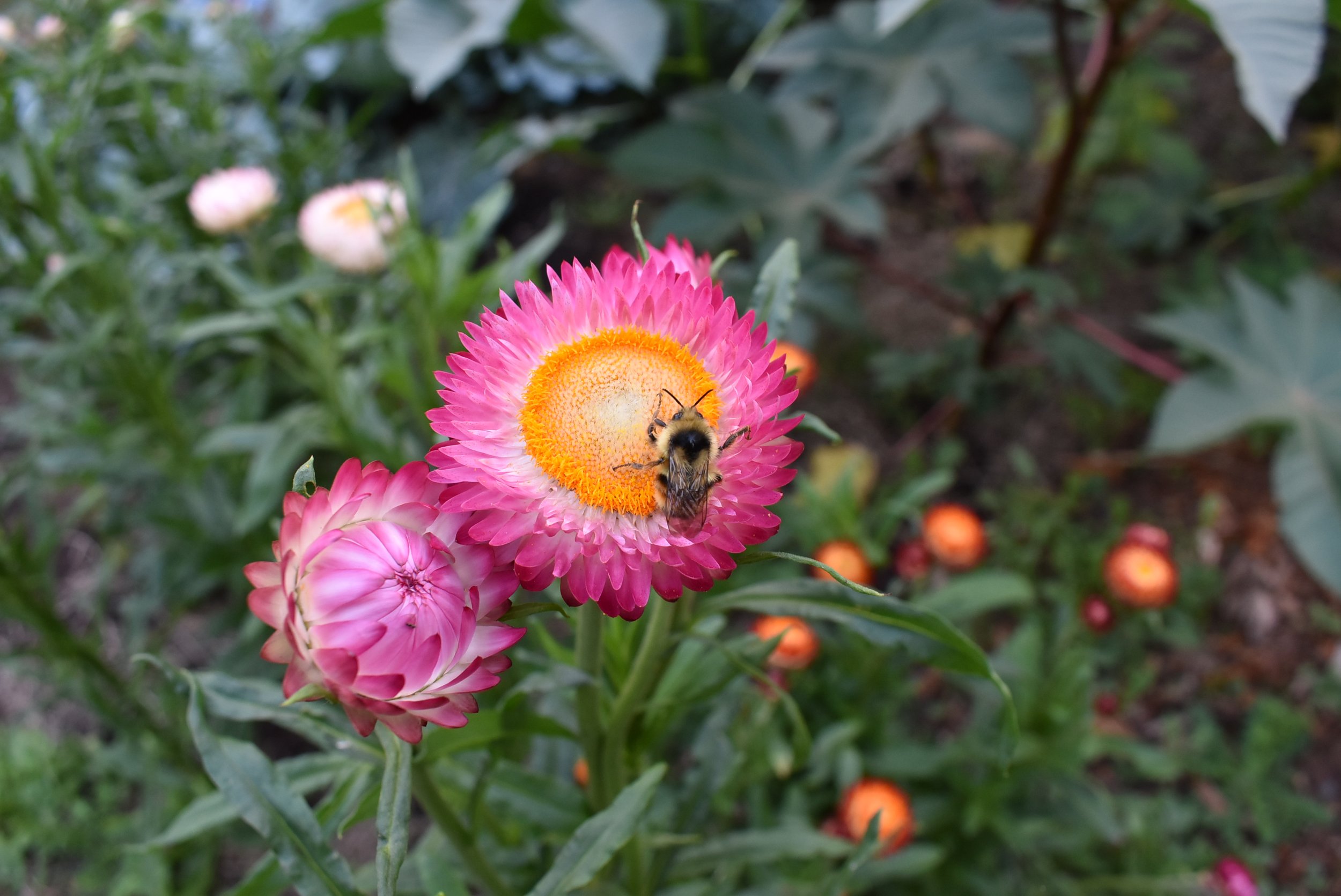 57A6F152-40DA-4192-ABE0-CF8DB0FD686E.jpeg