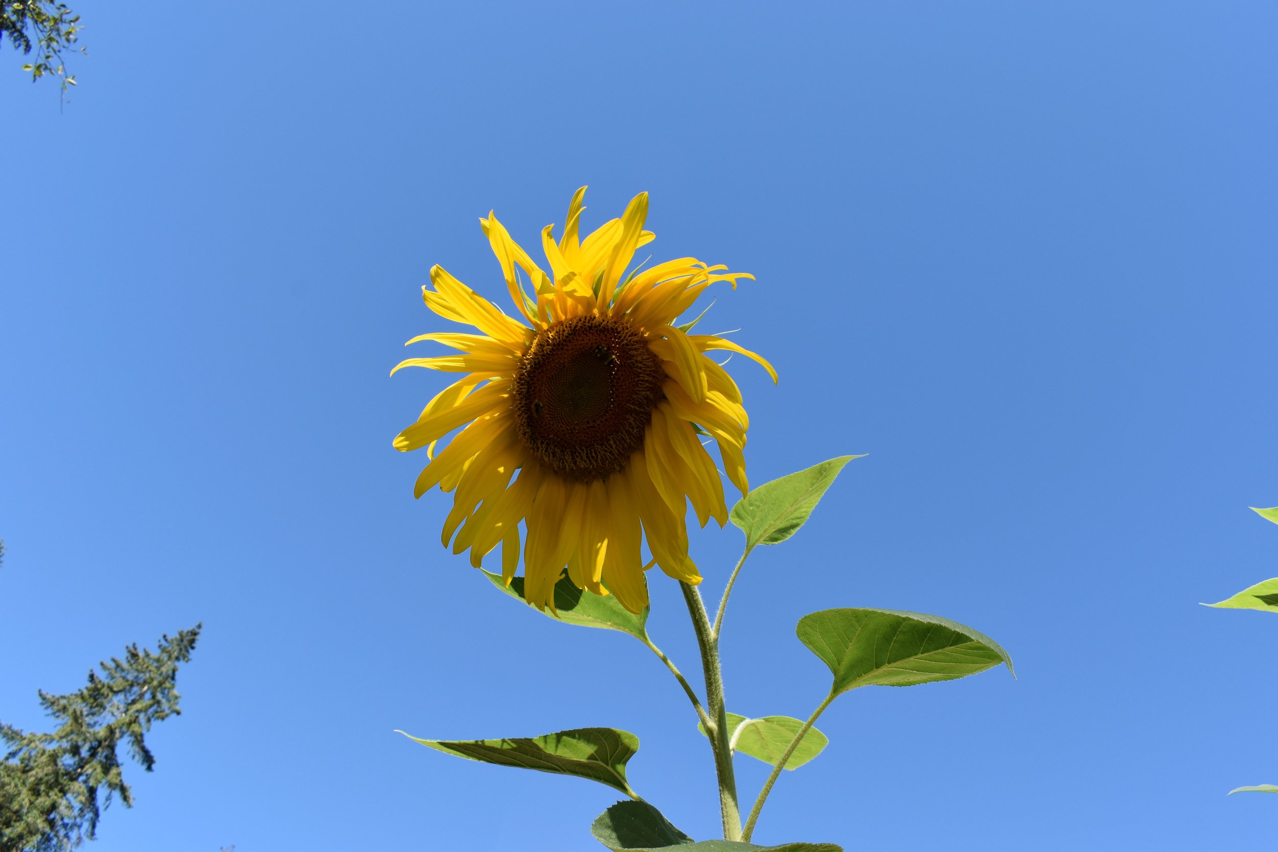 DSC_0364.jpeg