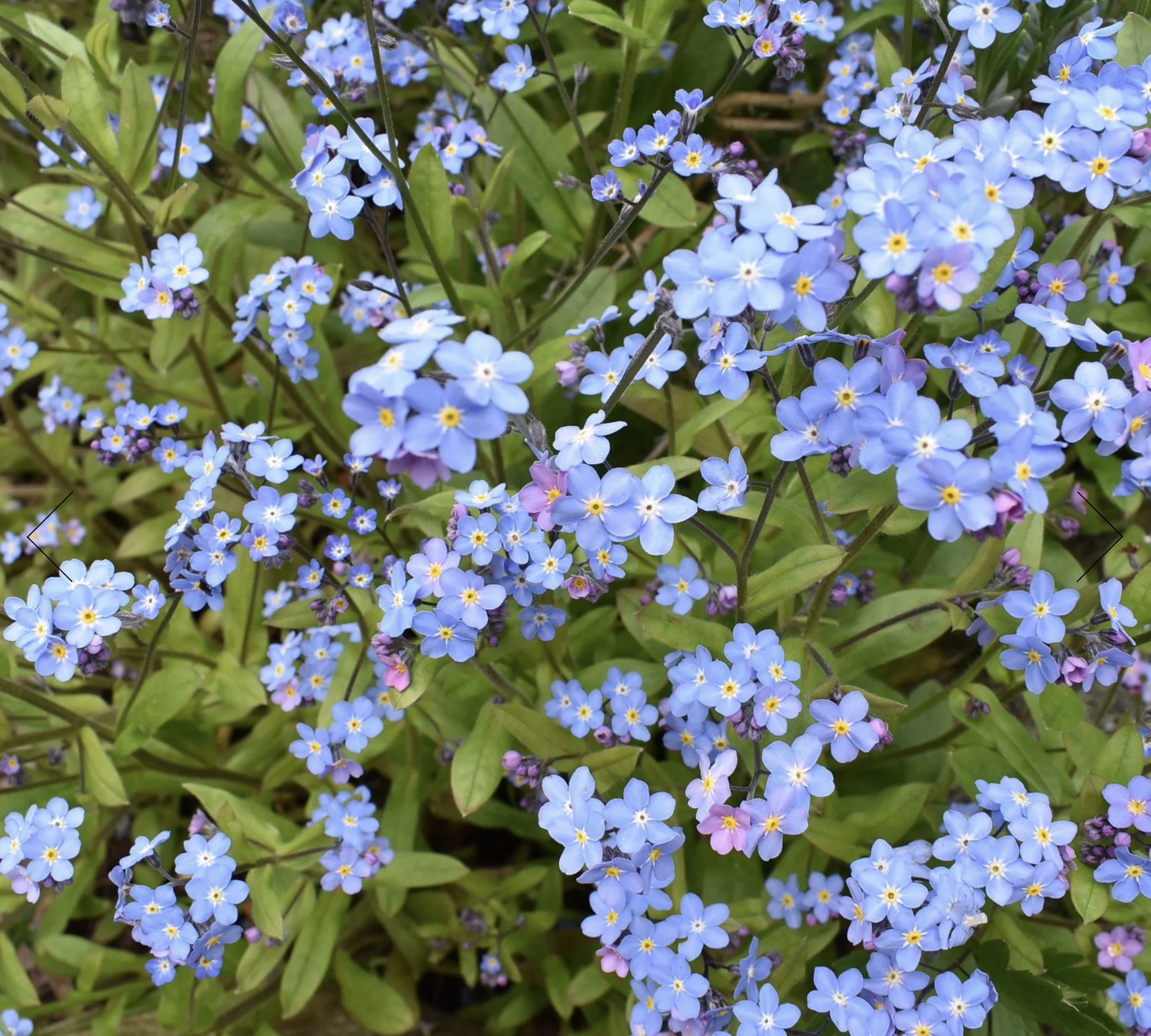 Screenshot 2025-12-30 at 2.41.46 PM.png