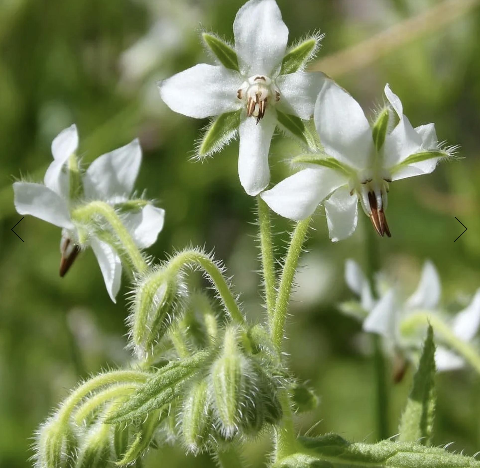 Screenshot 2025-12-08 at 5.37.26 PM.png