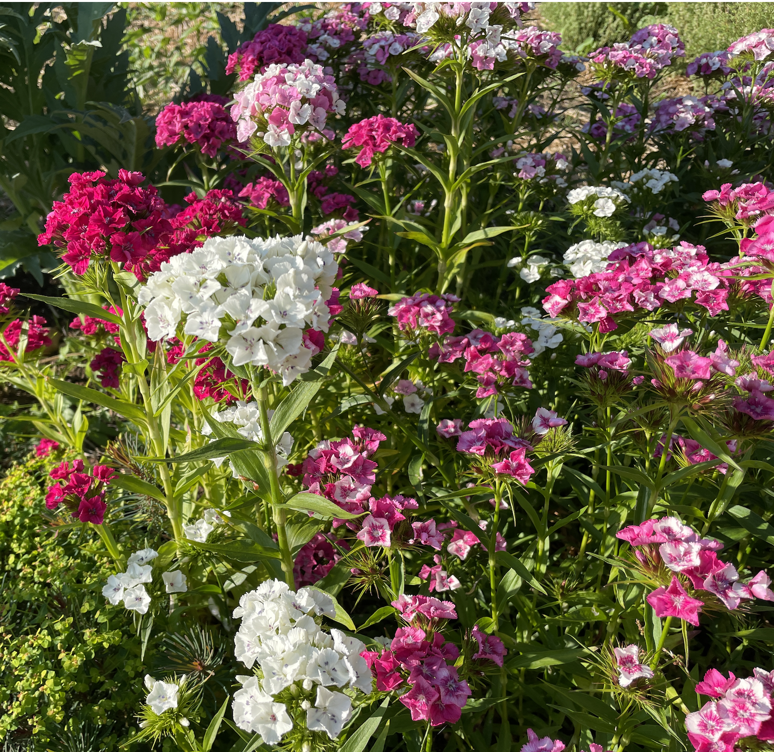 Screenshot 2025-12-30 at 2.39.50 PM.png