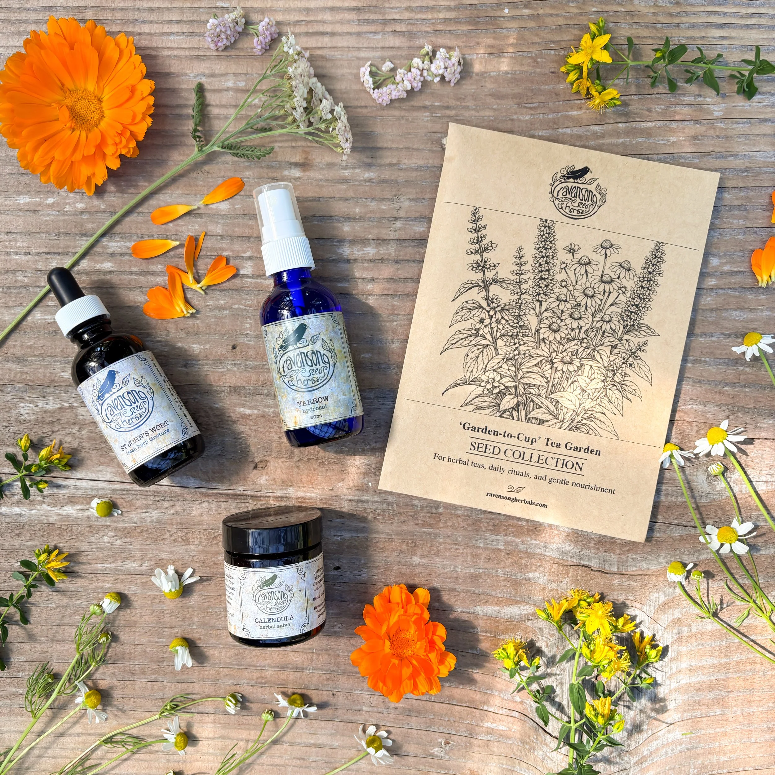 Sunlit Celebration Bundle