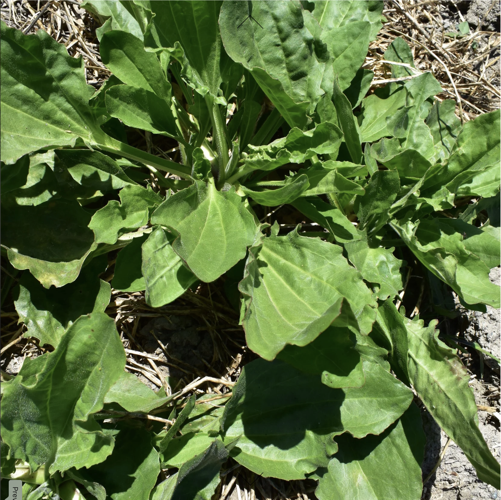 Screenshot 2025-12-08 at 1.17.02 PM.png