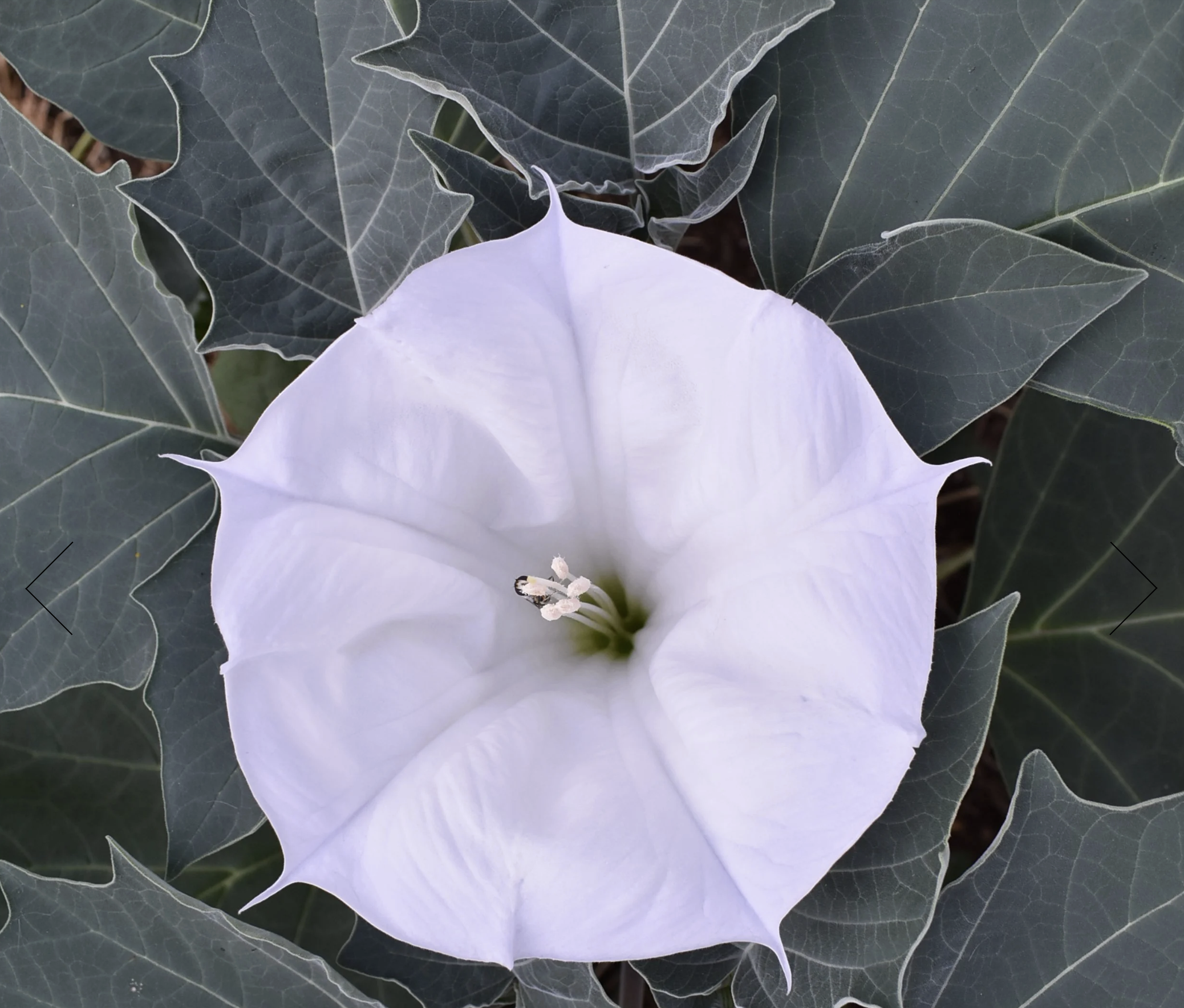 Screenshot 2025-12-30 at 2.04.21 PM.png