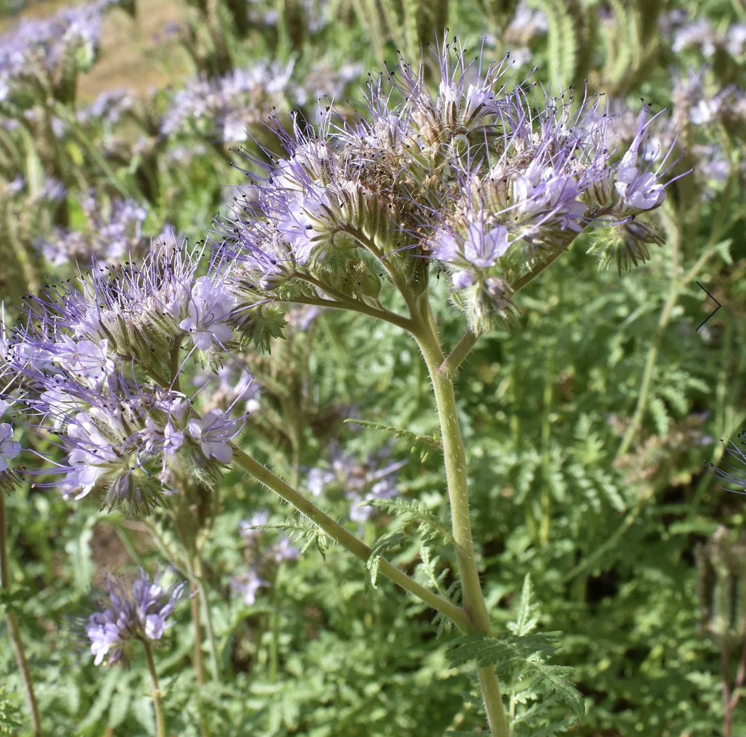 Screenshot 2025-12-08 at 5.35.51 PM.png