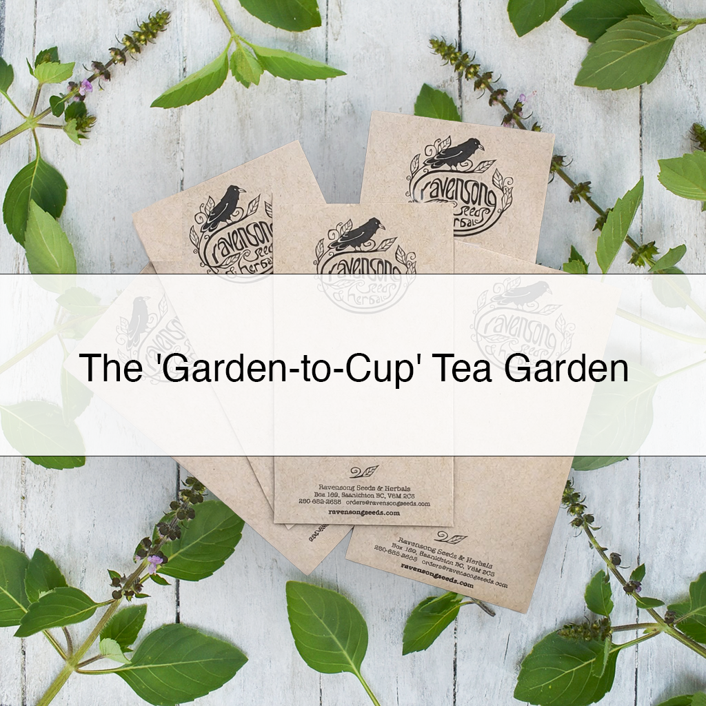tea garden collection.png