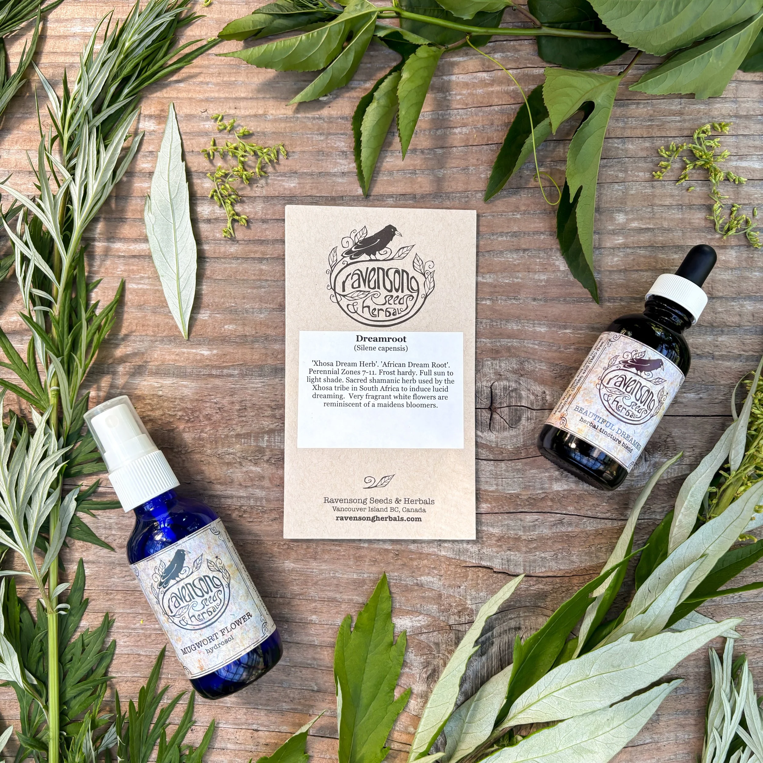 Midsummer Dream Bundle