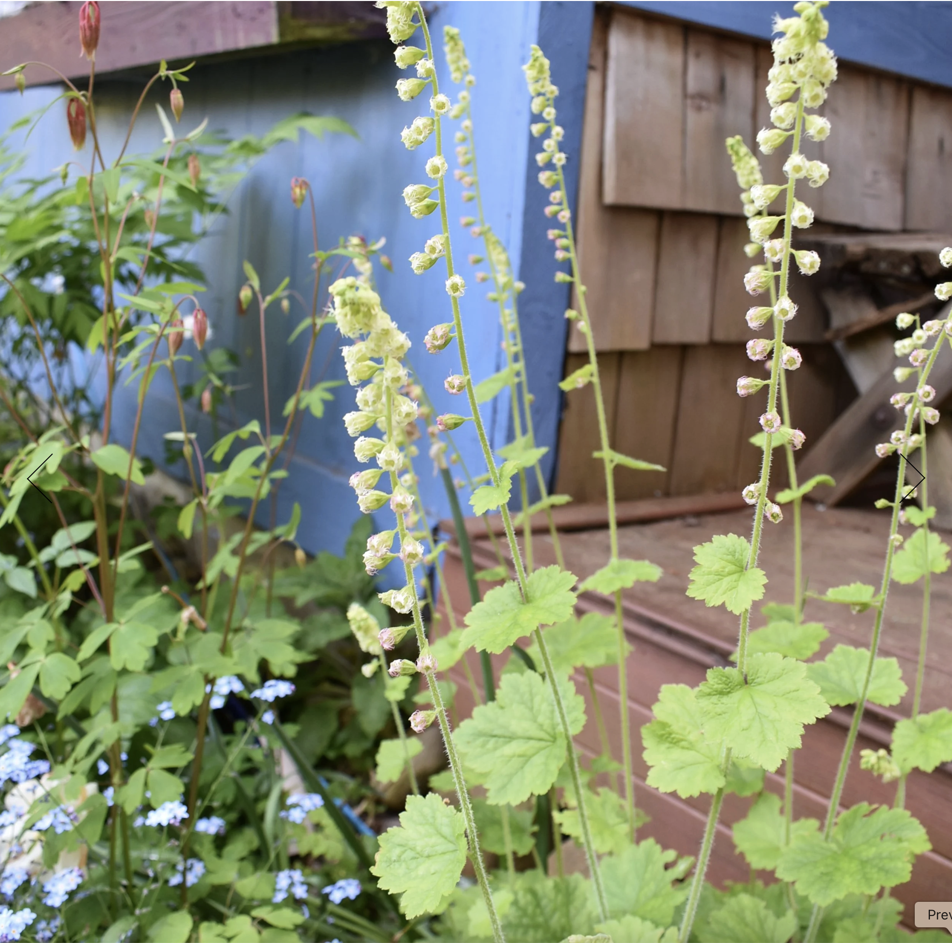 Screenshot 2025-12-08 at 4.56.14 PM.png