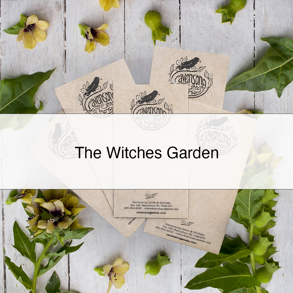 Witches Garden Seed Collection