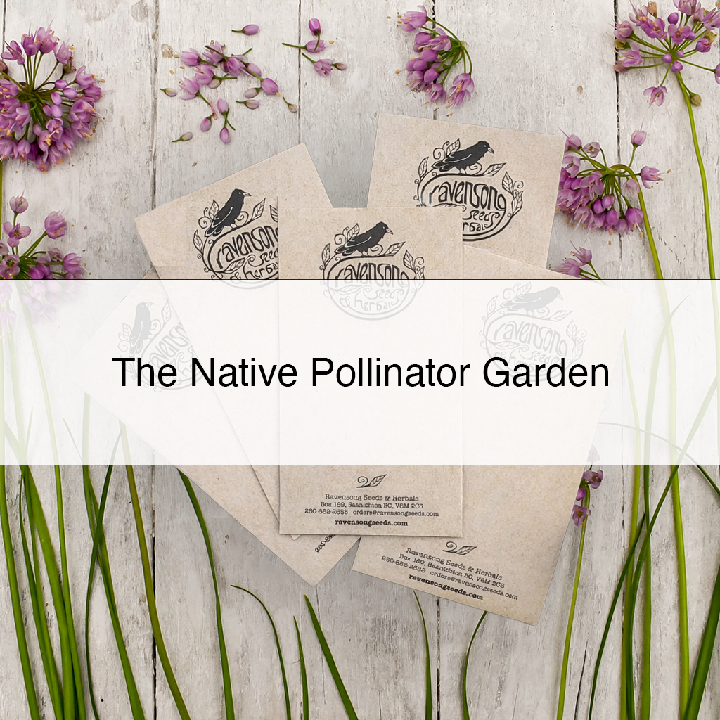 native pollinator.png