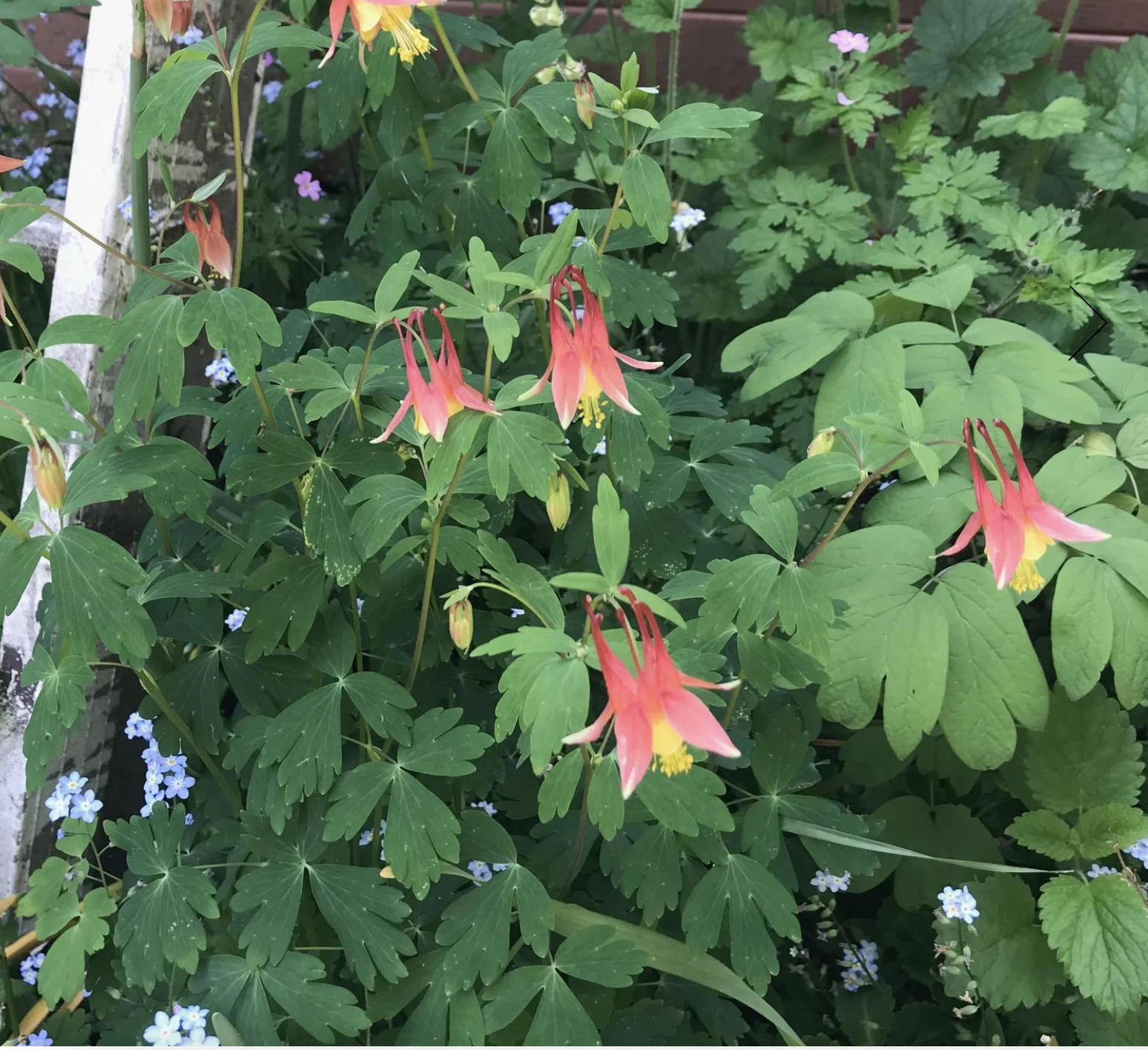 Screenshot 2025-12-08 at 4.58.24 PM.png