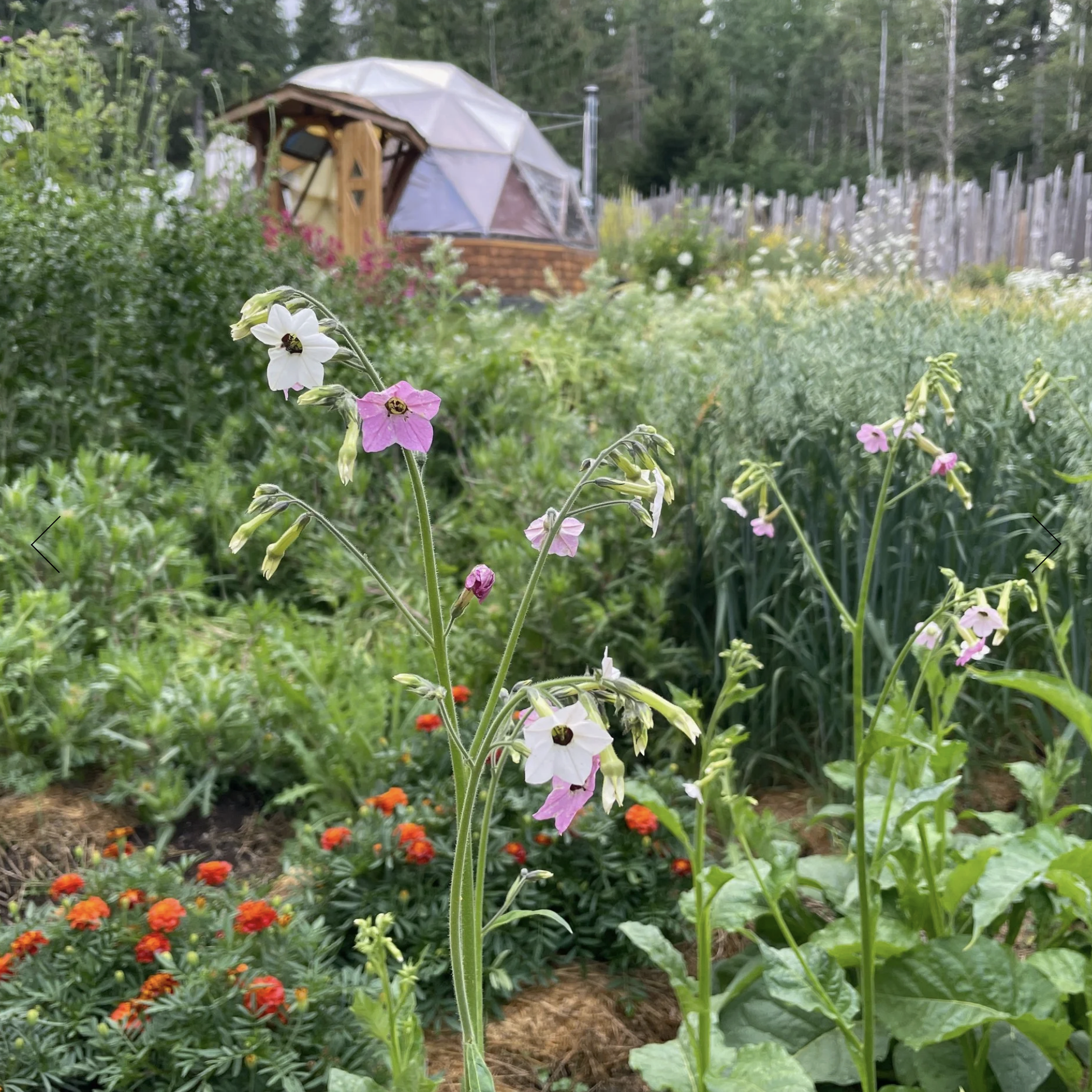 Screenshot 2025-12-08 at 12.32.59 PM.png