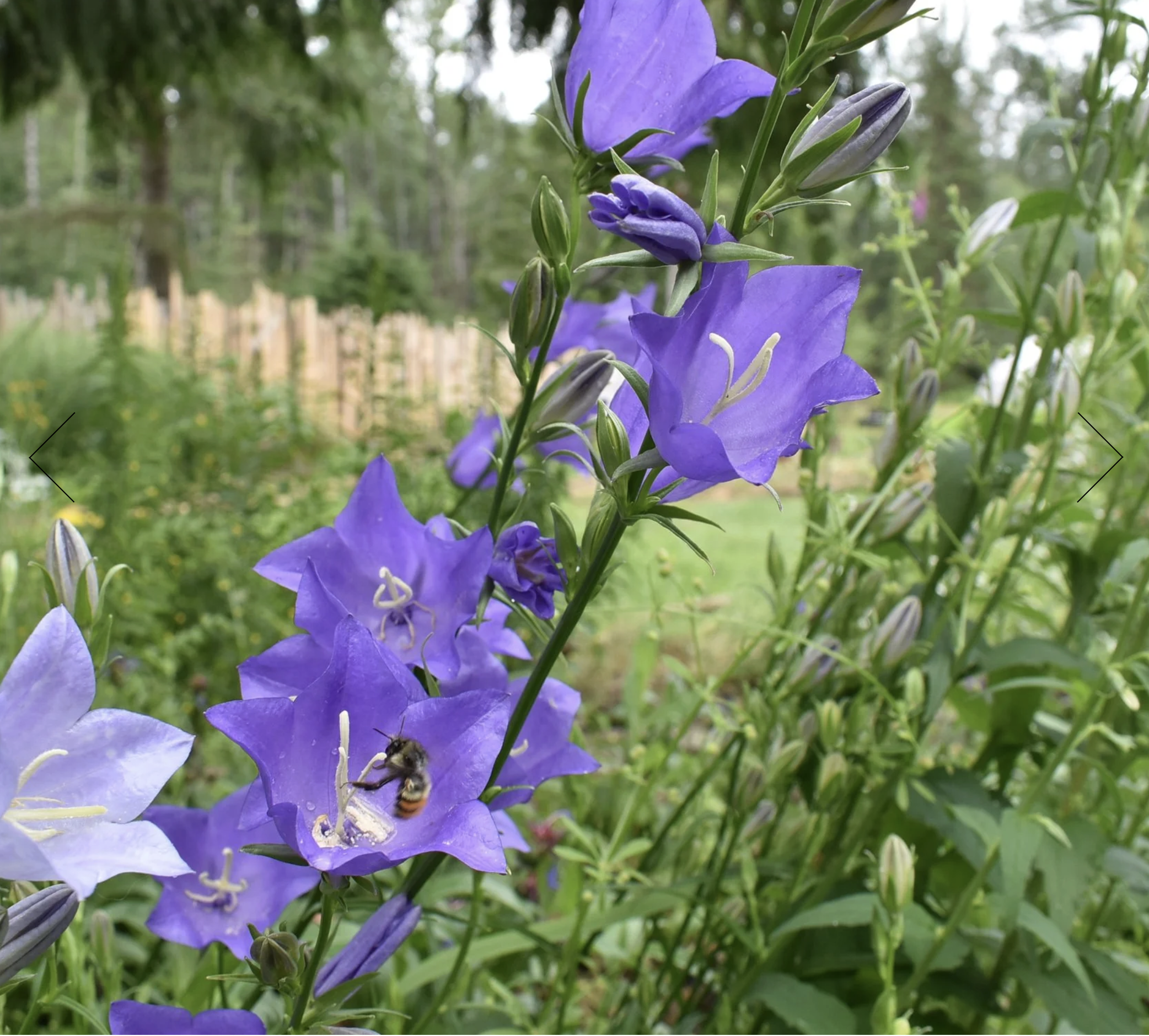 Screenshot 2025-12-30 at 2.35.10 PM.png