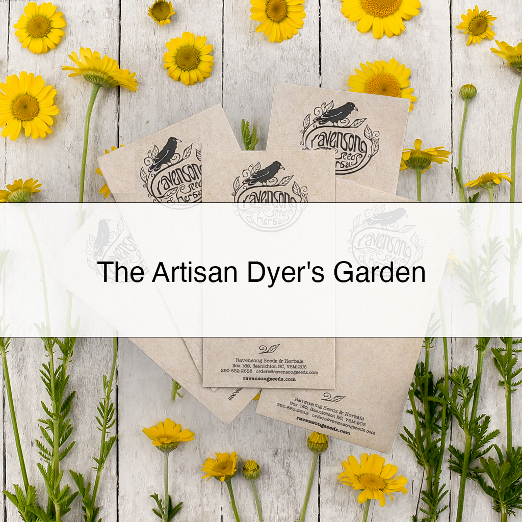 Artisan Dyer's Garden Seed Collection