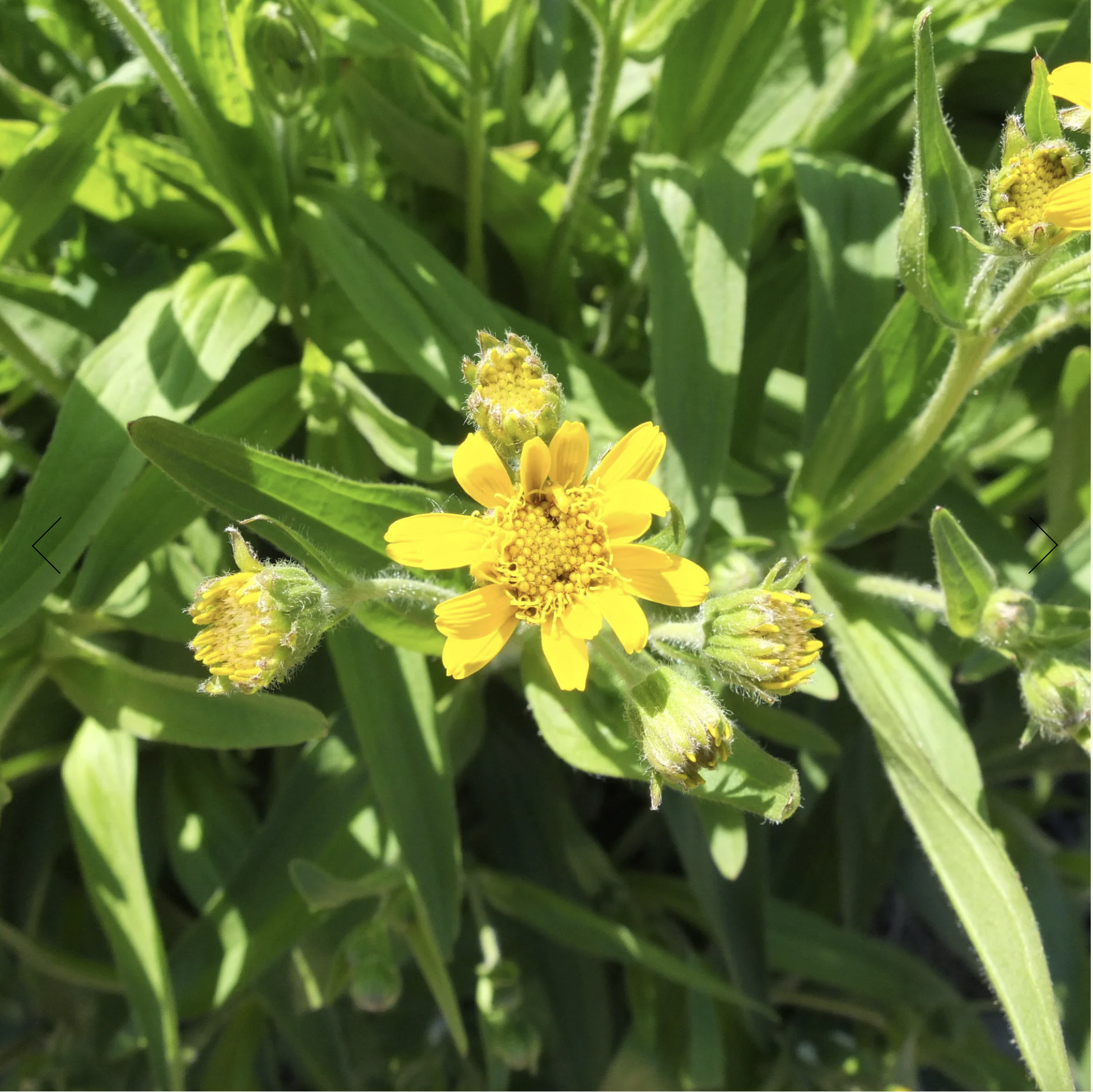 Screenshot 2025-12-08 at 5.16.51 PM.png