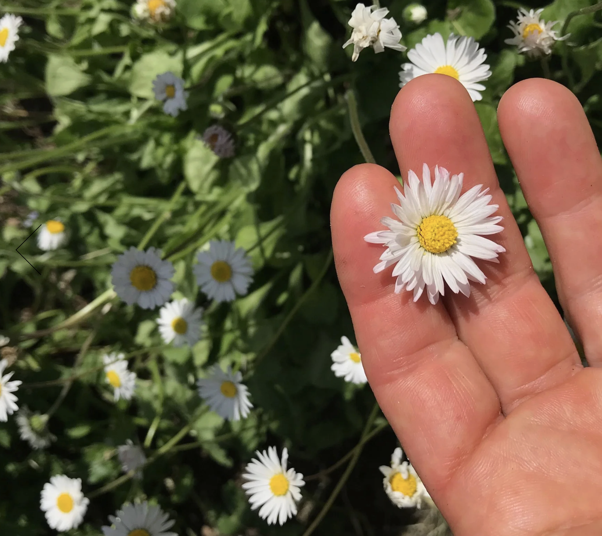 Screenshot 2025-12-30 at 1.26.03 PM.png