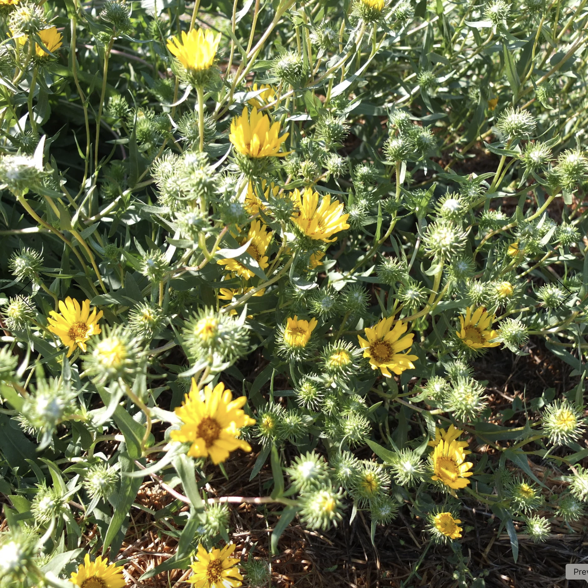 Screenshot 2025-12-08 at 4.56.50 PM.png