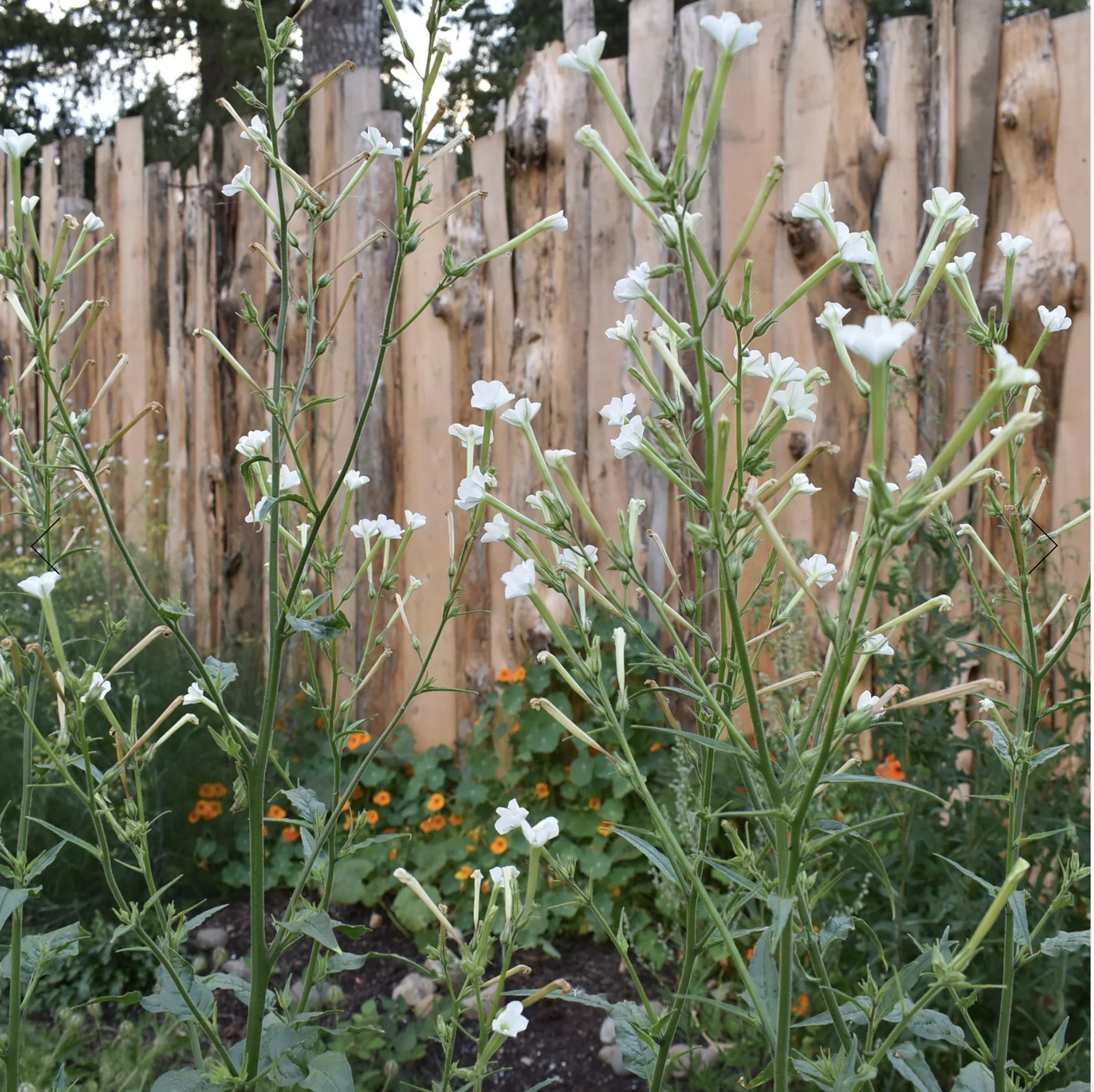 Screenshot 2025-12-08 at 12.32.25 PM.png