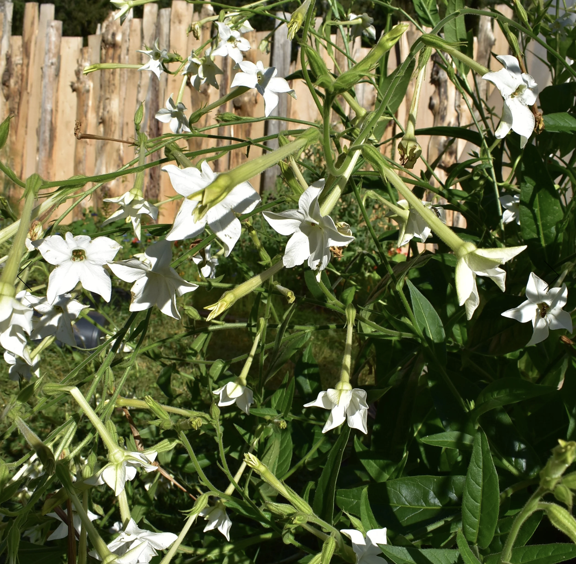 Screenshot 2025-12-08 at 12.38.13 PM.png