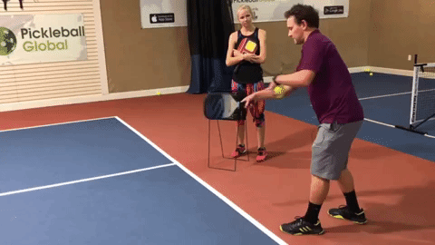 segments2.gif