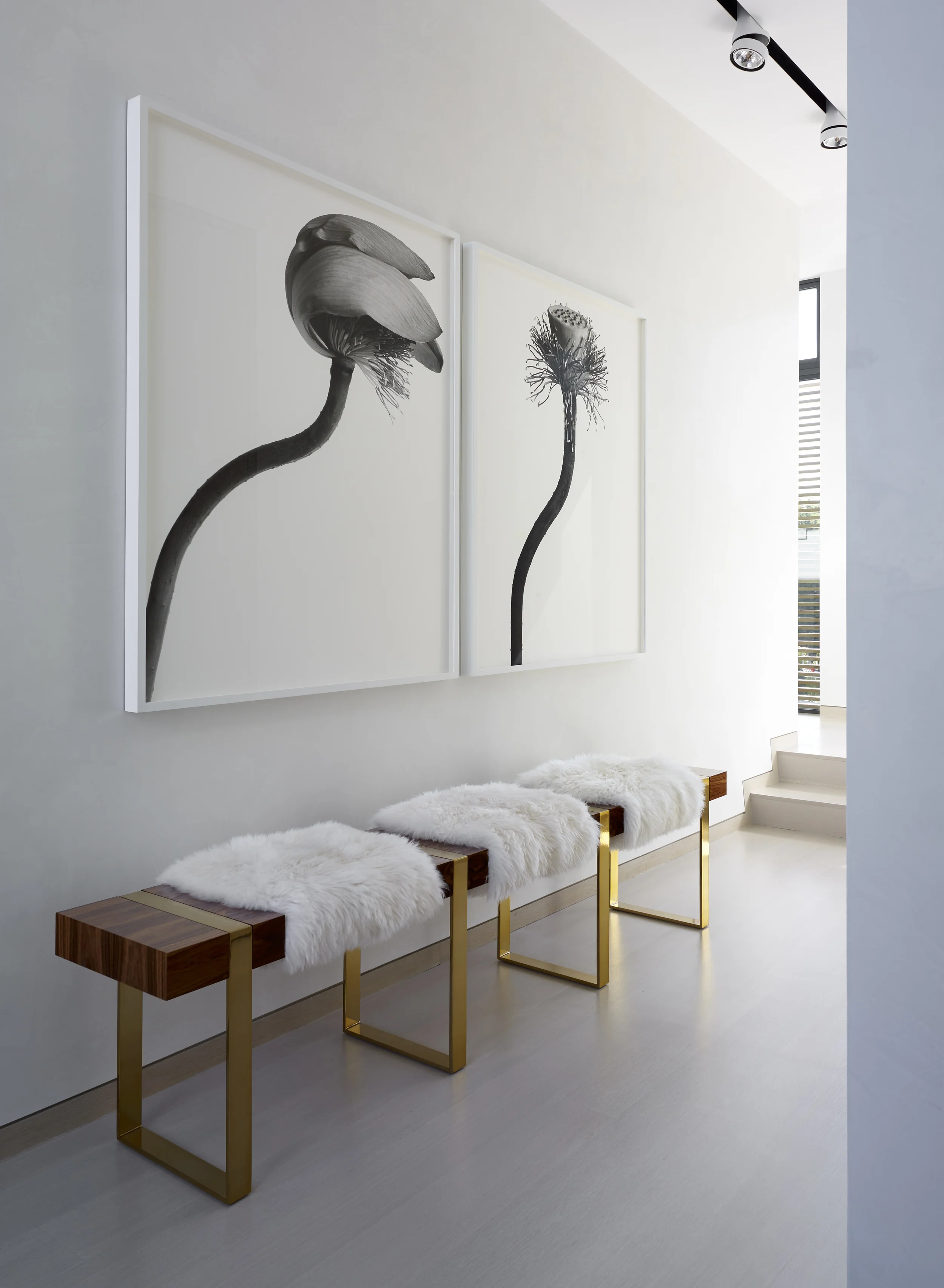 2015_09_24 M+S 66476.jpg