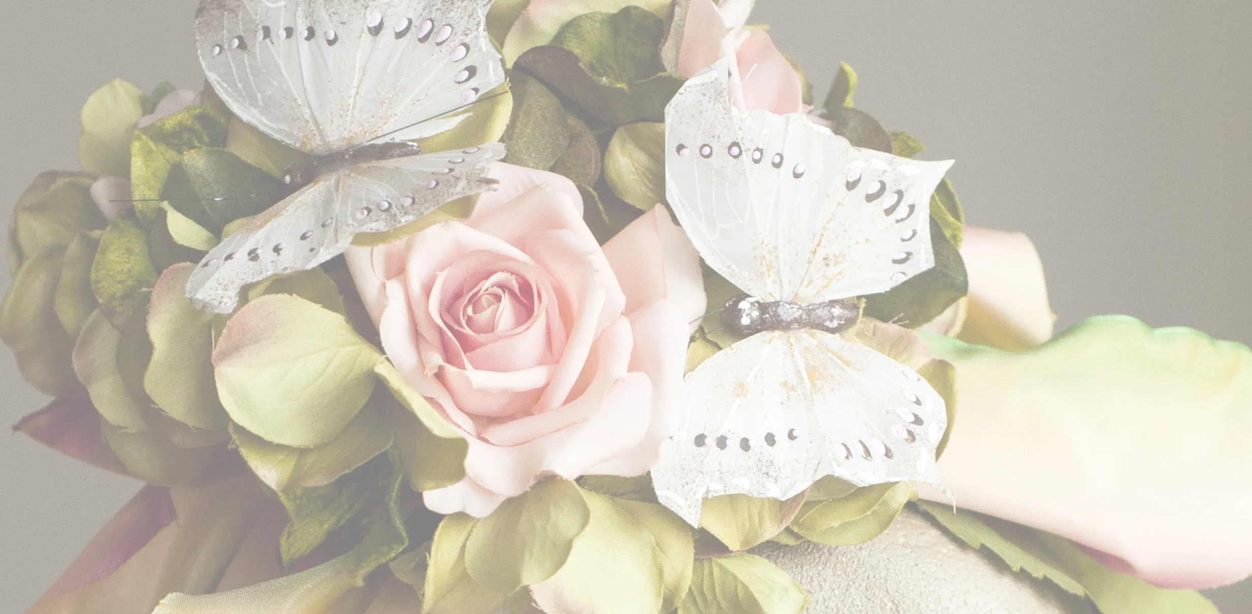 Kady-Bloom-Banner-3.jpg