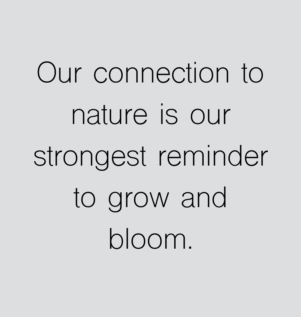 inspire.004.jpeg