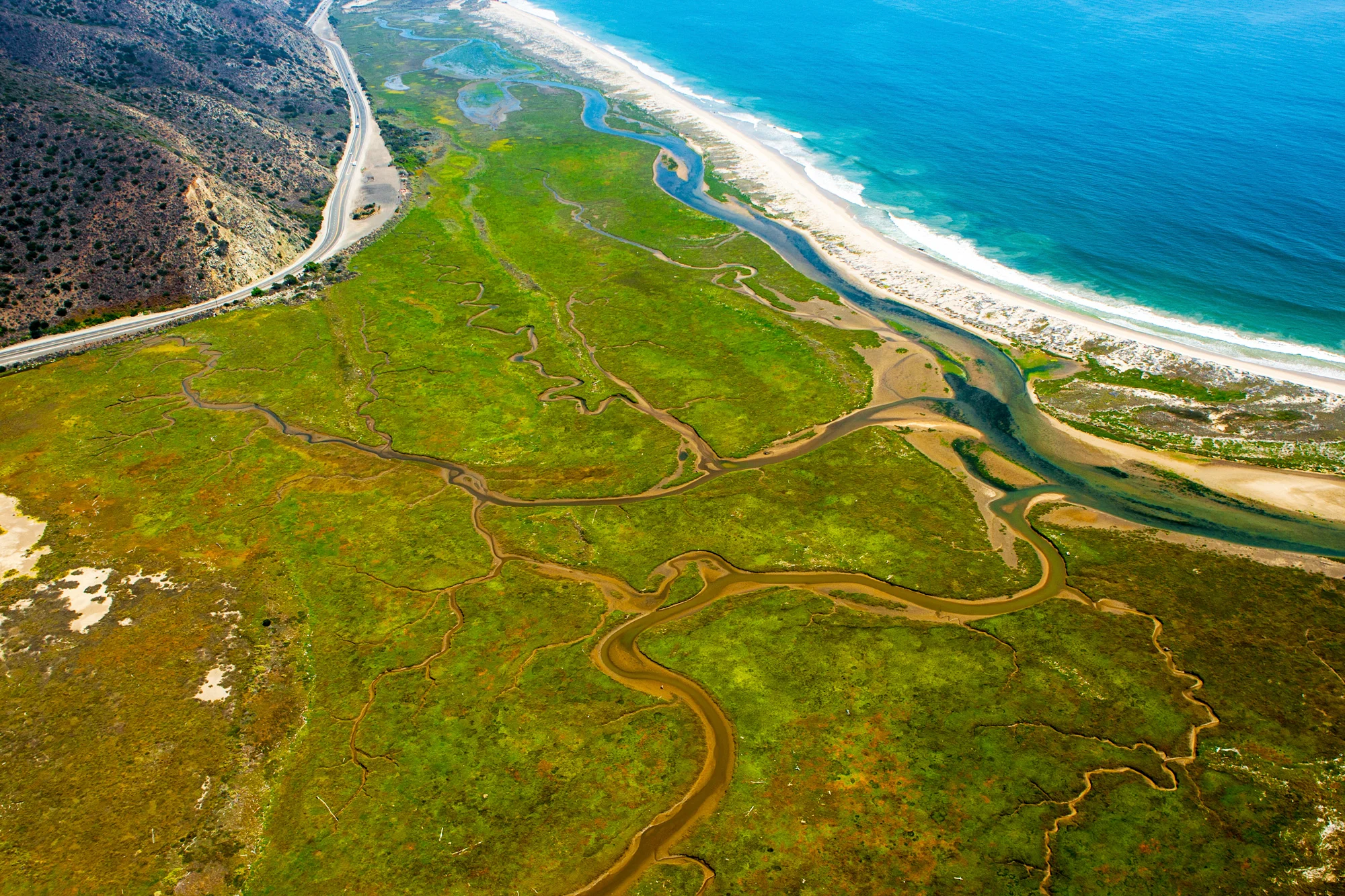 Salty Marsh
