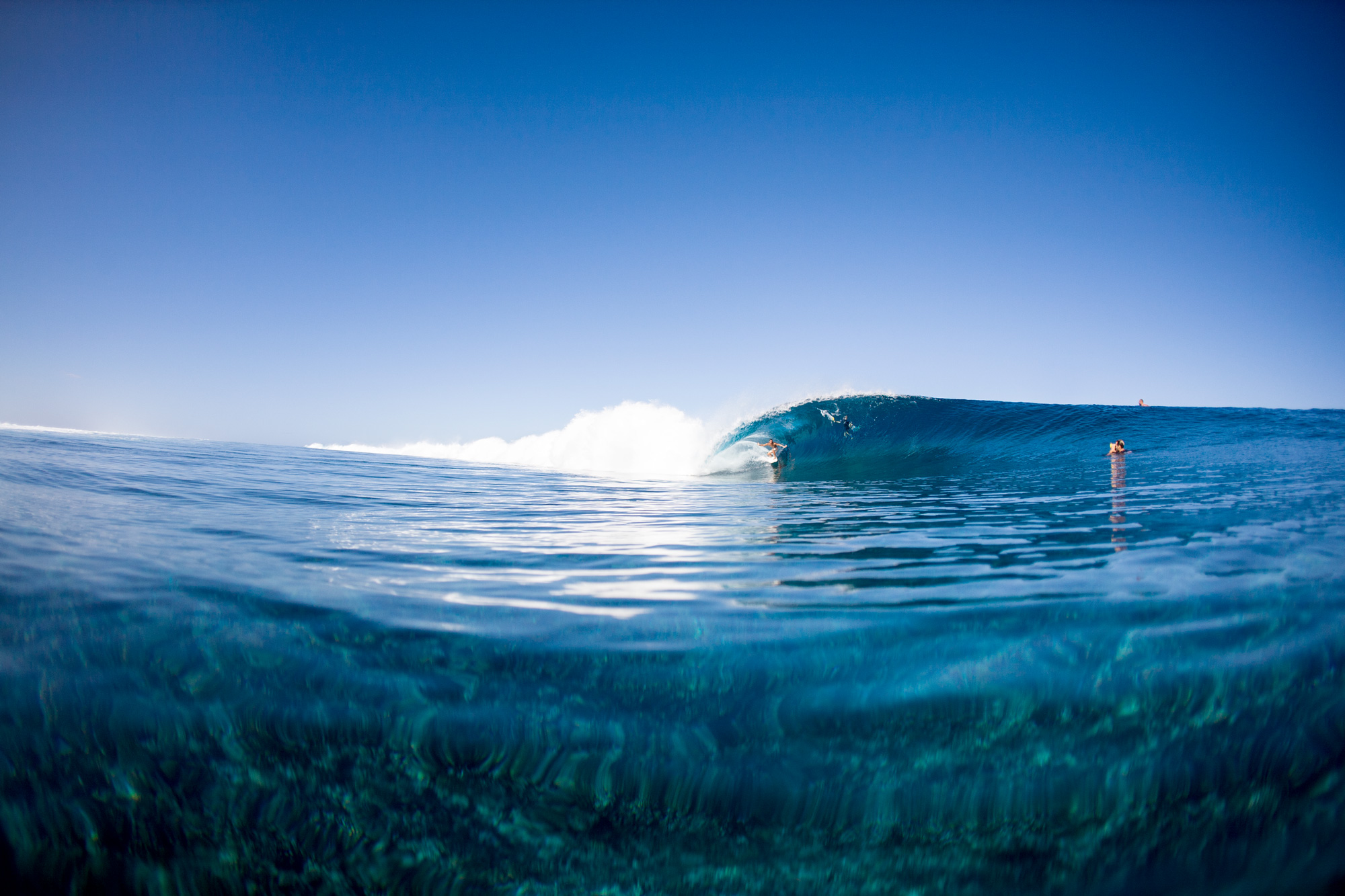 _MG_6064.1.jpg