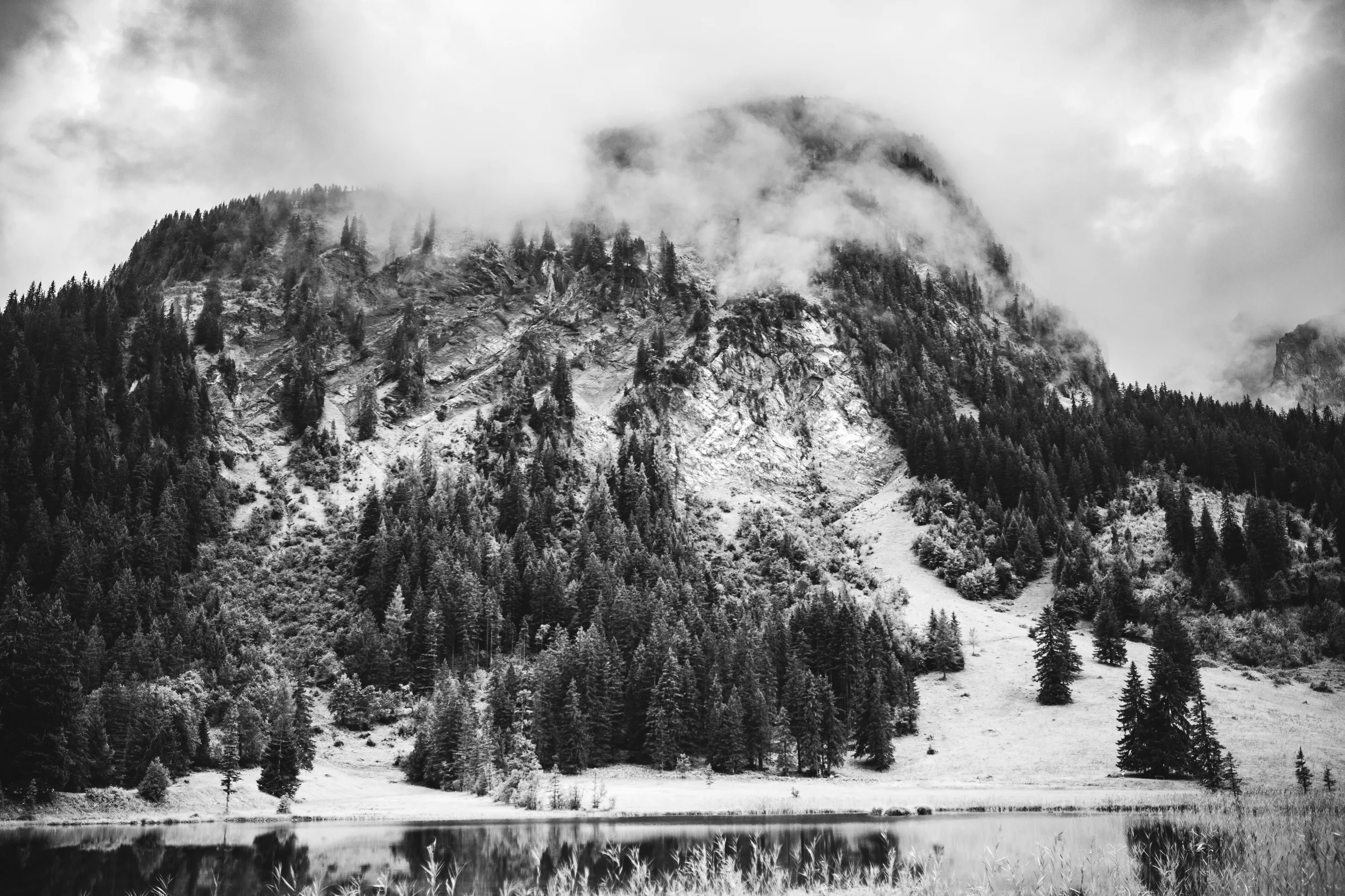 B&W Swiss Mountainside.jpg