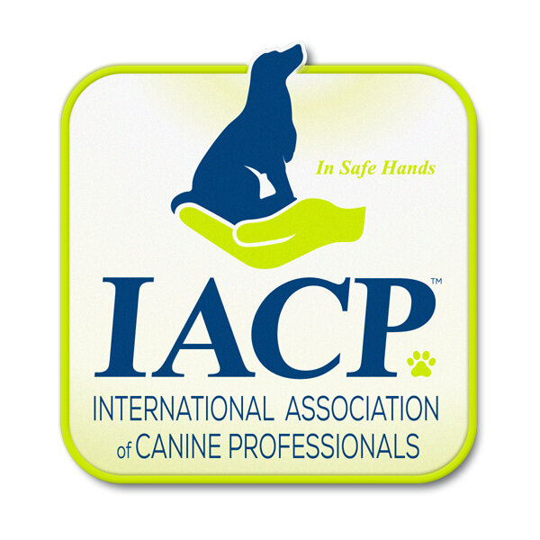 iacp-logo-member-icon-rgb-600x600.jpg